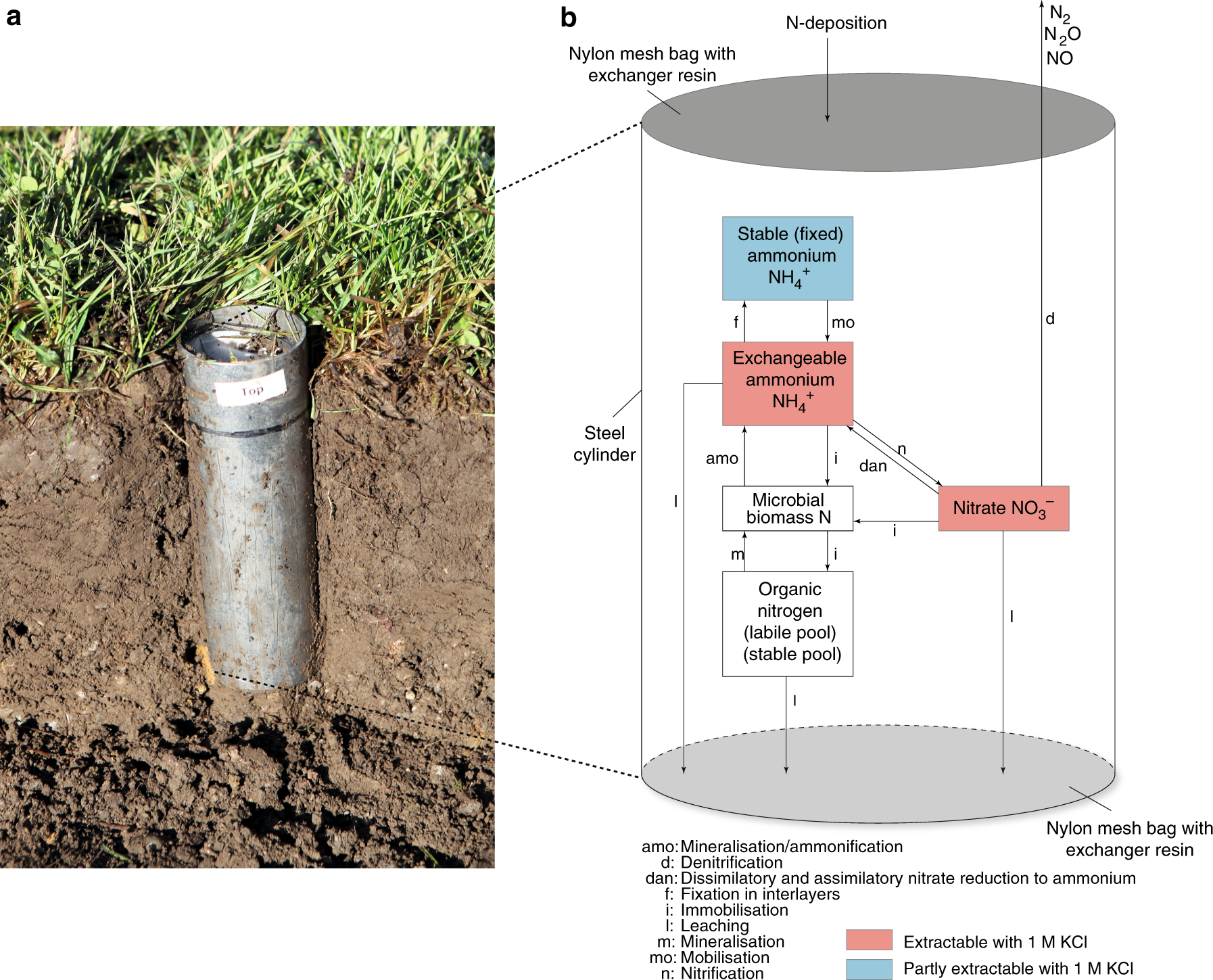Soil net nitrogen mineralisation across global grasslands | Nature  Communications