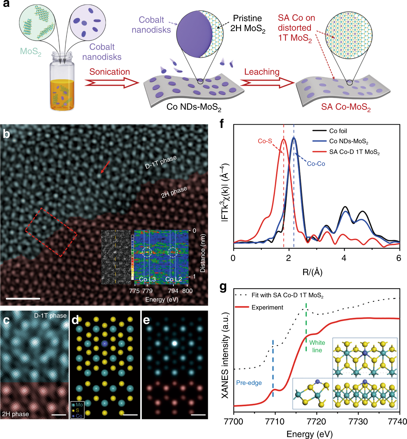 Single Atom Cobalt Array Bound To Distorted 1t Mos 2 With