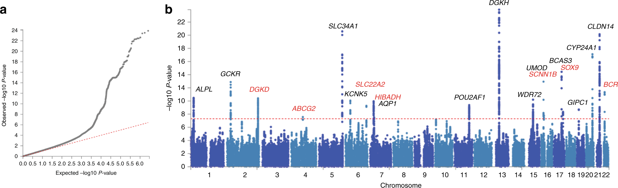 Genetic Variants Of Calcium And Vitamin D Metabolism In