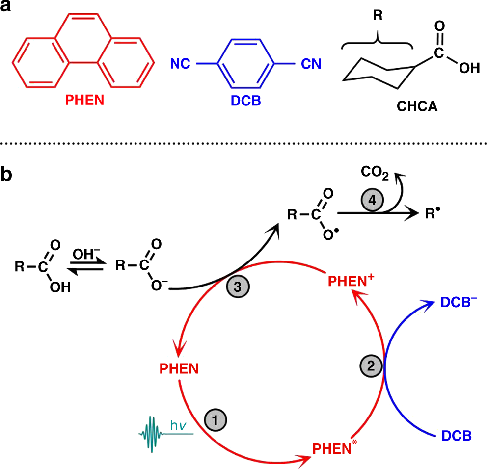 Picosecond to millisecond tracking of a photocatalytic decarboxylation reaction provides direct mechanistic insights Nature Communications