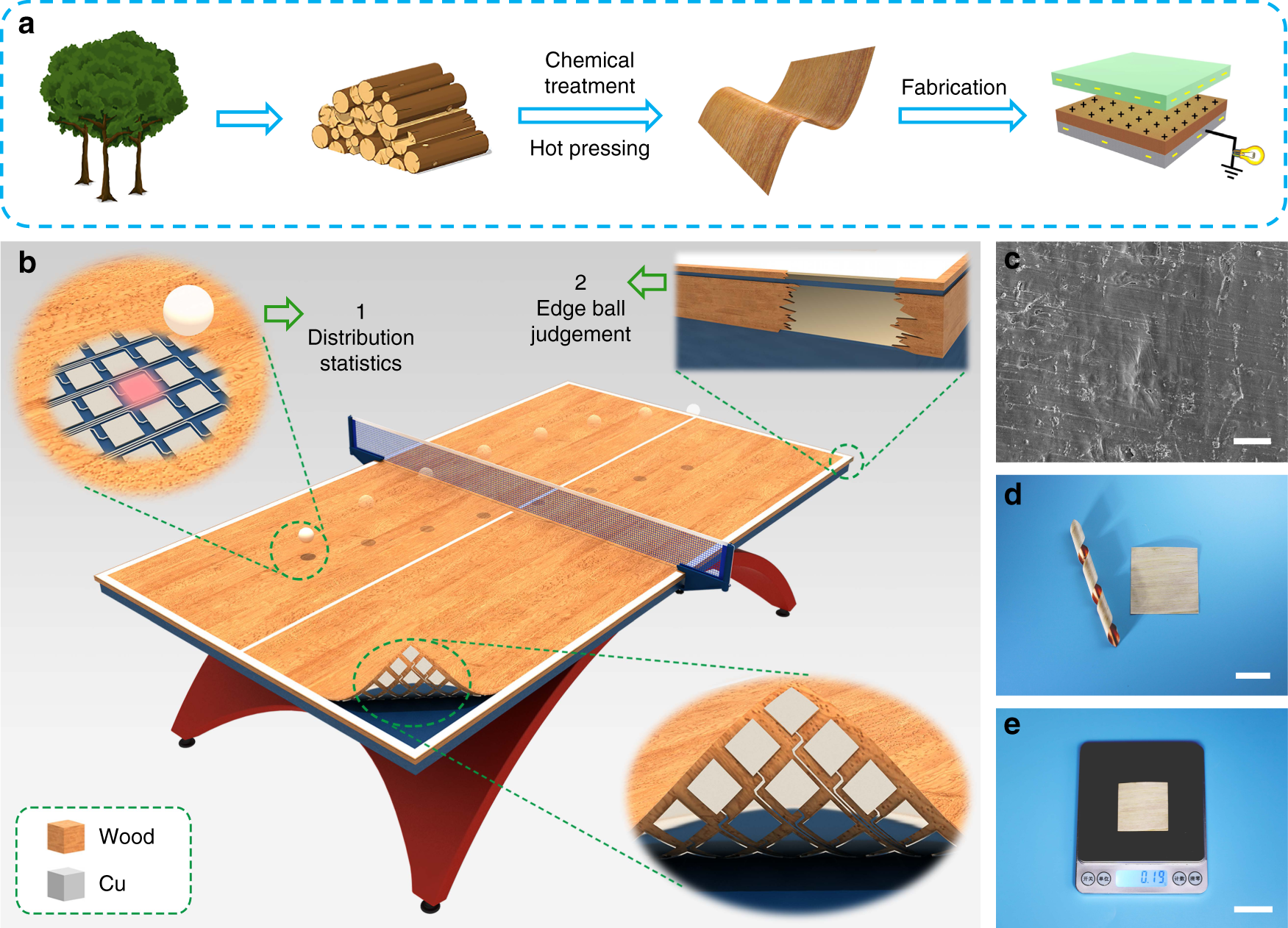 Flexible and durable wood-based triboelectric nanogenerators for  self-powered sensing in athletic big data analytics | Nature Communications