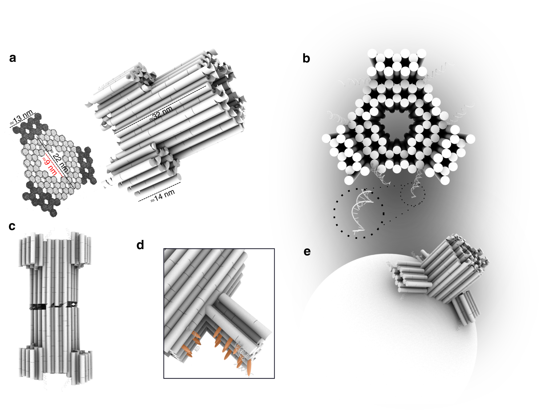 Fig. 1: Design of the DNA nanopore.