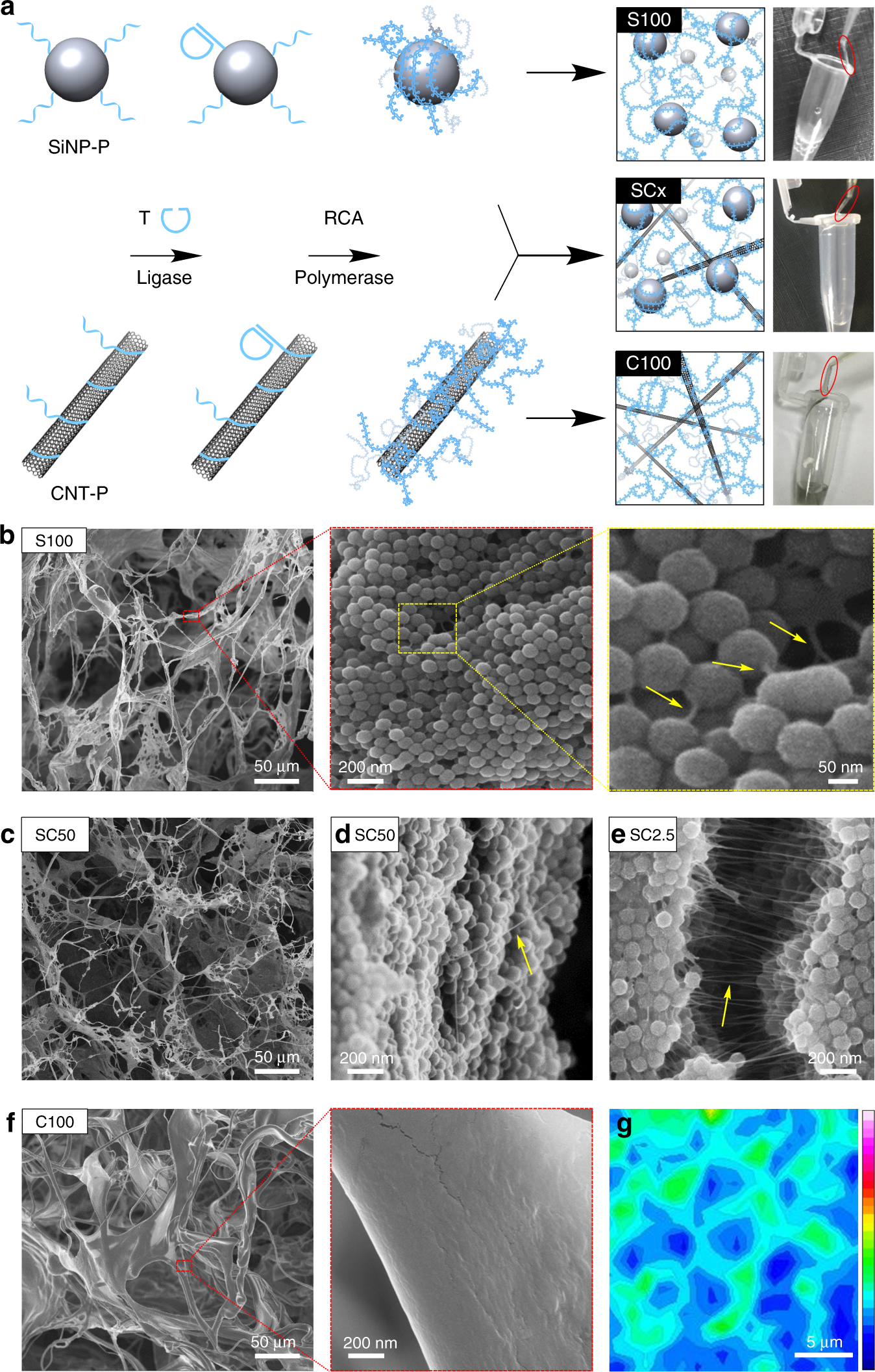 Fig. 2: Synthesis of binary and ternary SiNP/CNT-DNA nanocomposite materials.