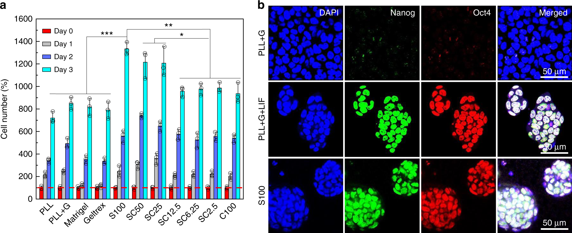 Fig. 6: Stem cell cultivation and maintenance of mESC stemness.