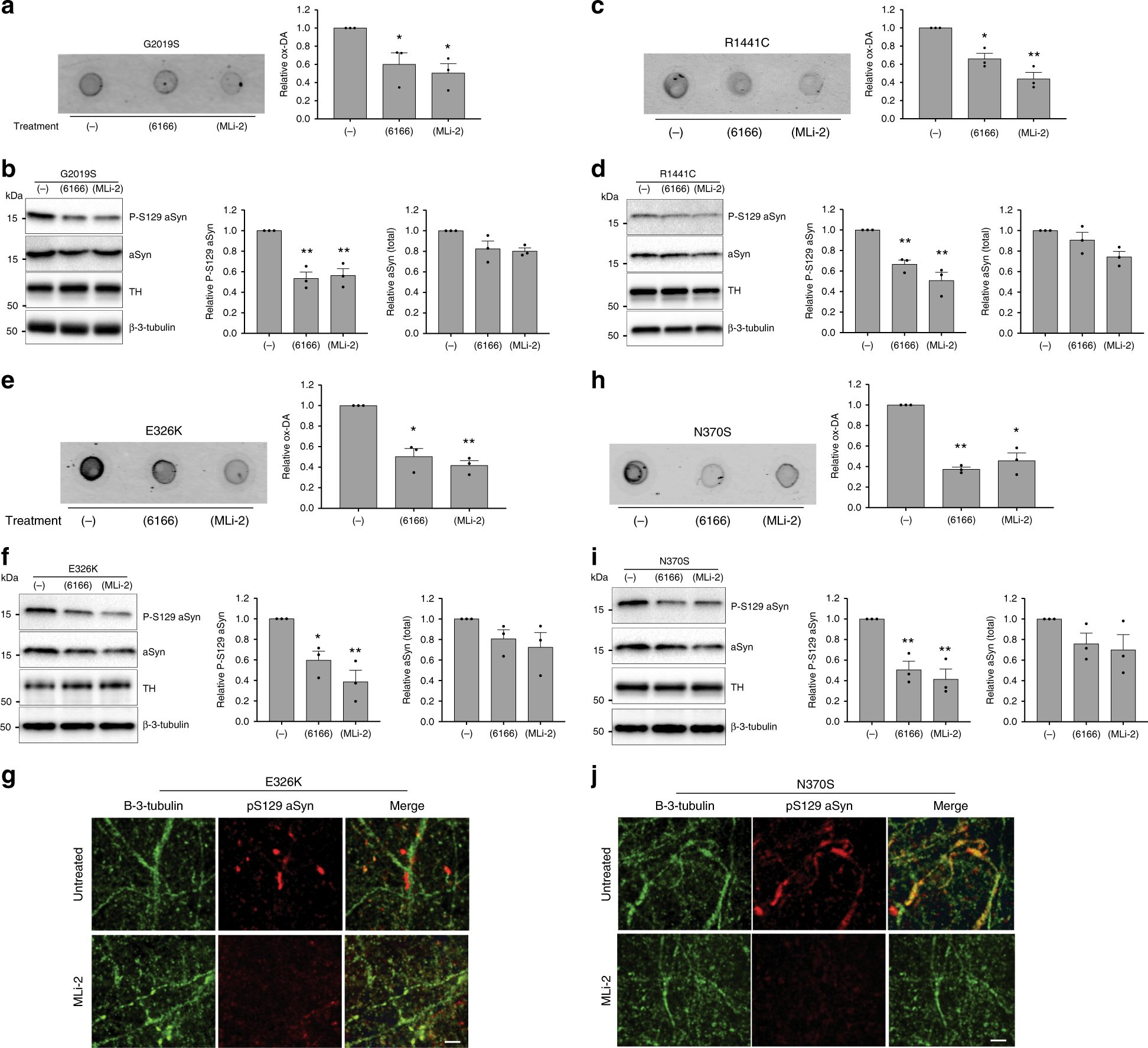 Fig. 3: LRRK2 kinase inhibitors rescue PD-related pathophysiologic phenotypes in LRRK2 and GBA1 mutant neurons. Measurement of insoluble oxidized dopamine by near-IR fluorescence from LRRK2 G2019S.