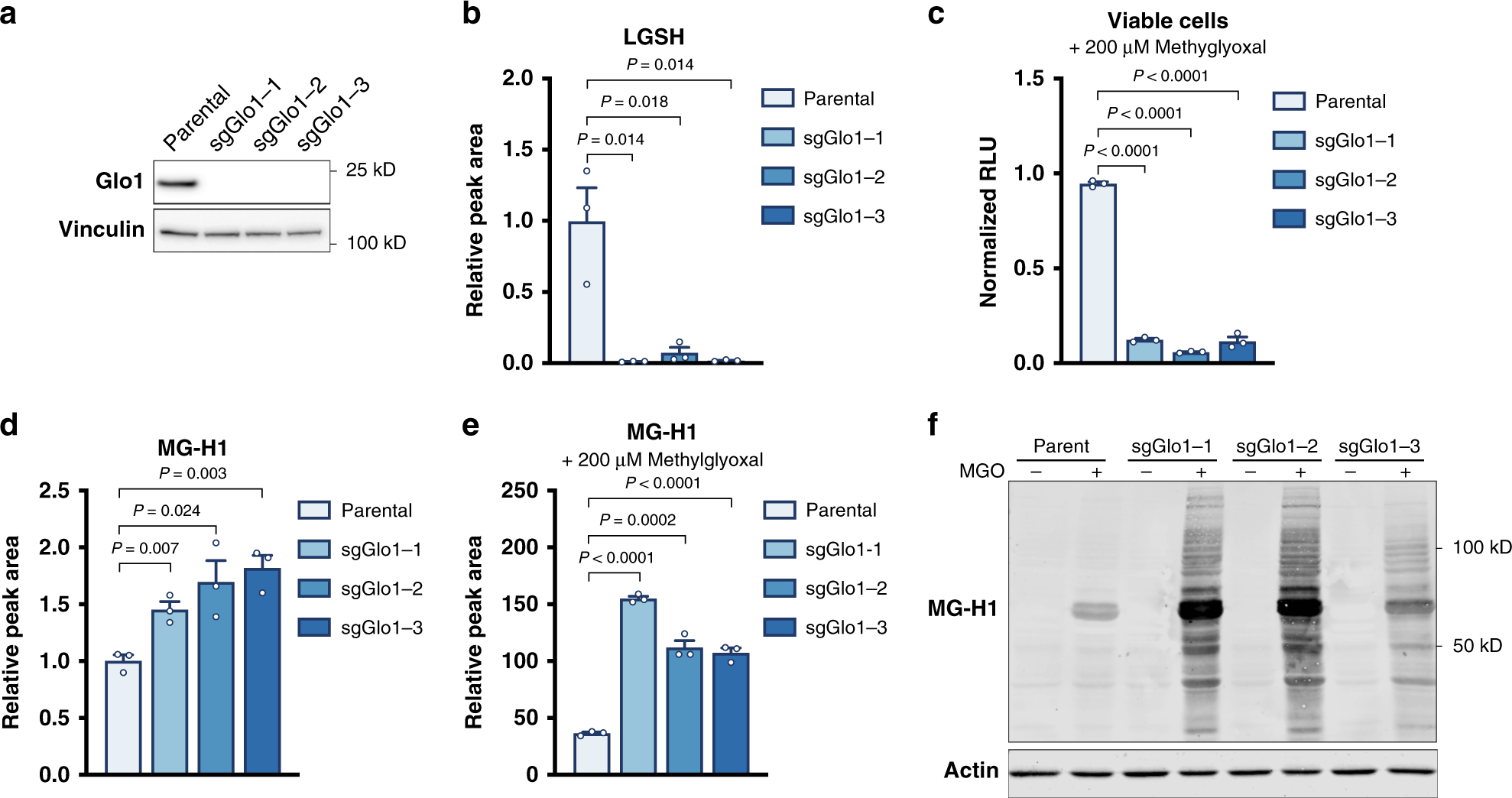 Fig. 4: Glyoxalase I is required for methylglyoxal detoxification.