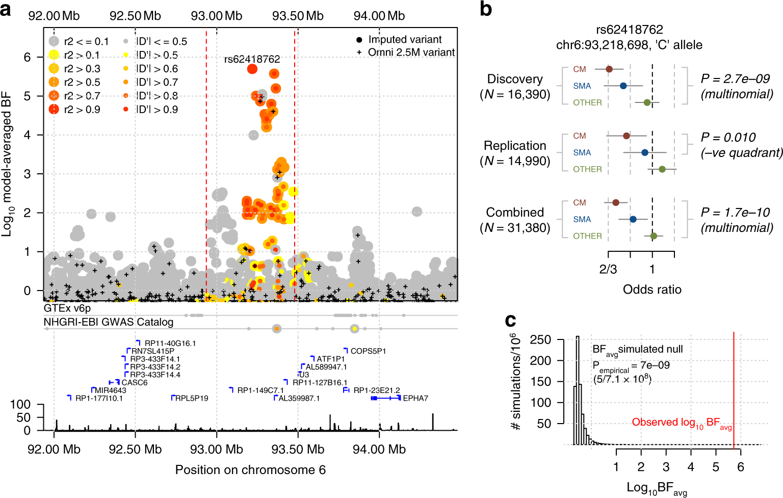 Fig. 3: Evidence for association at rs62418762.