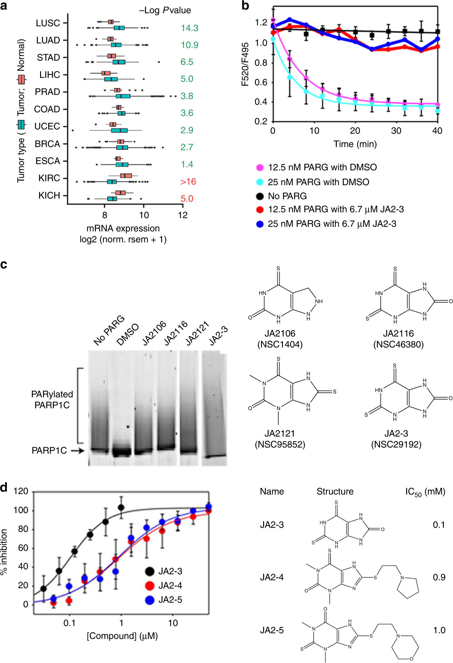 Selective Small Molecule Parg Inhibitor Causes Replication Fork Stalling And Cancer Cell Death Nature Communications