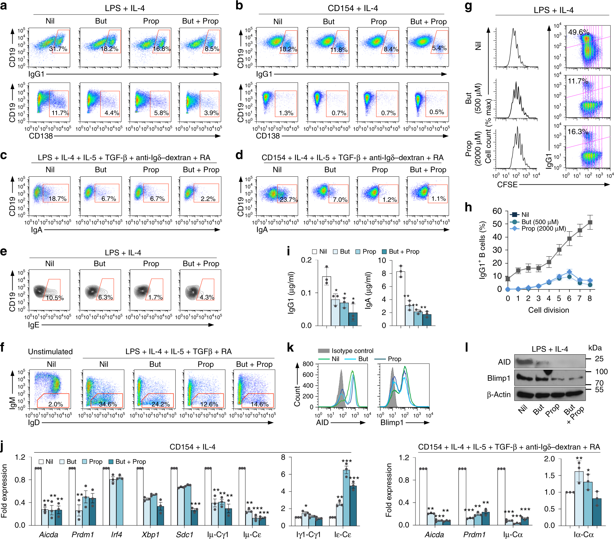 Fig. 5: SCFAs inhibit Aicda and Prdm1 expression, and reduce CSR and plasma cell differentiation in mouse B cells.
