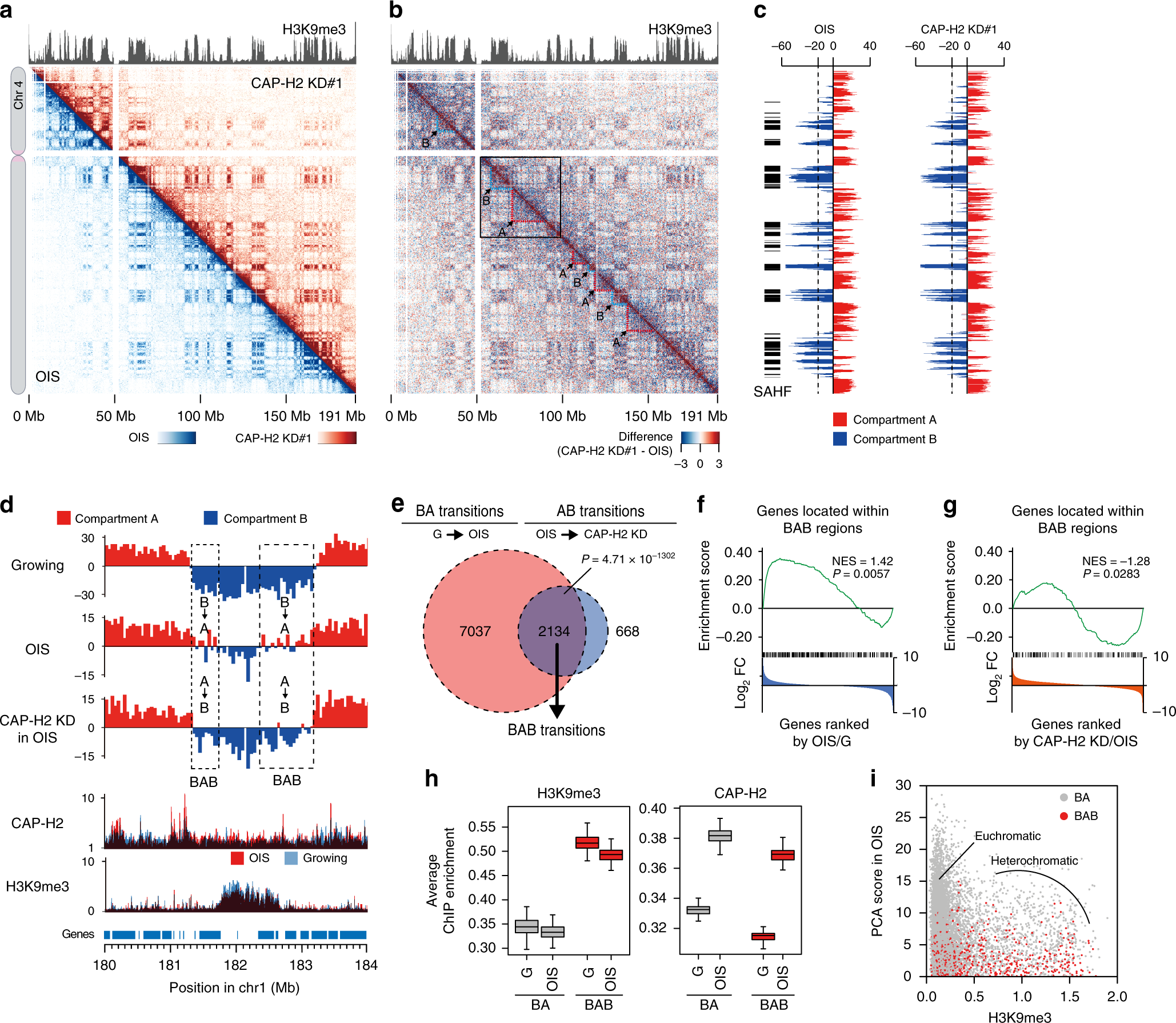 Fig. 9: Effects of CAP-H2 depletion on A/B compartmental organizations.