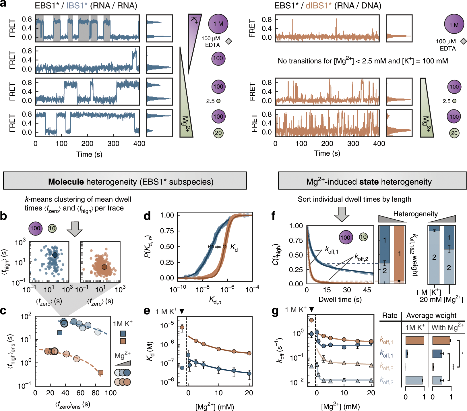 Fig. 2: Kinetic heterogeneity is tuned by Mg2+ and the nucleic acid strand type.