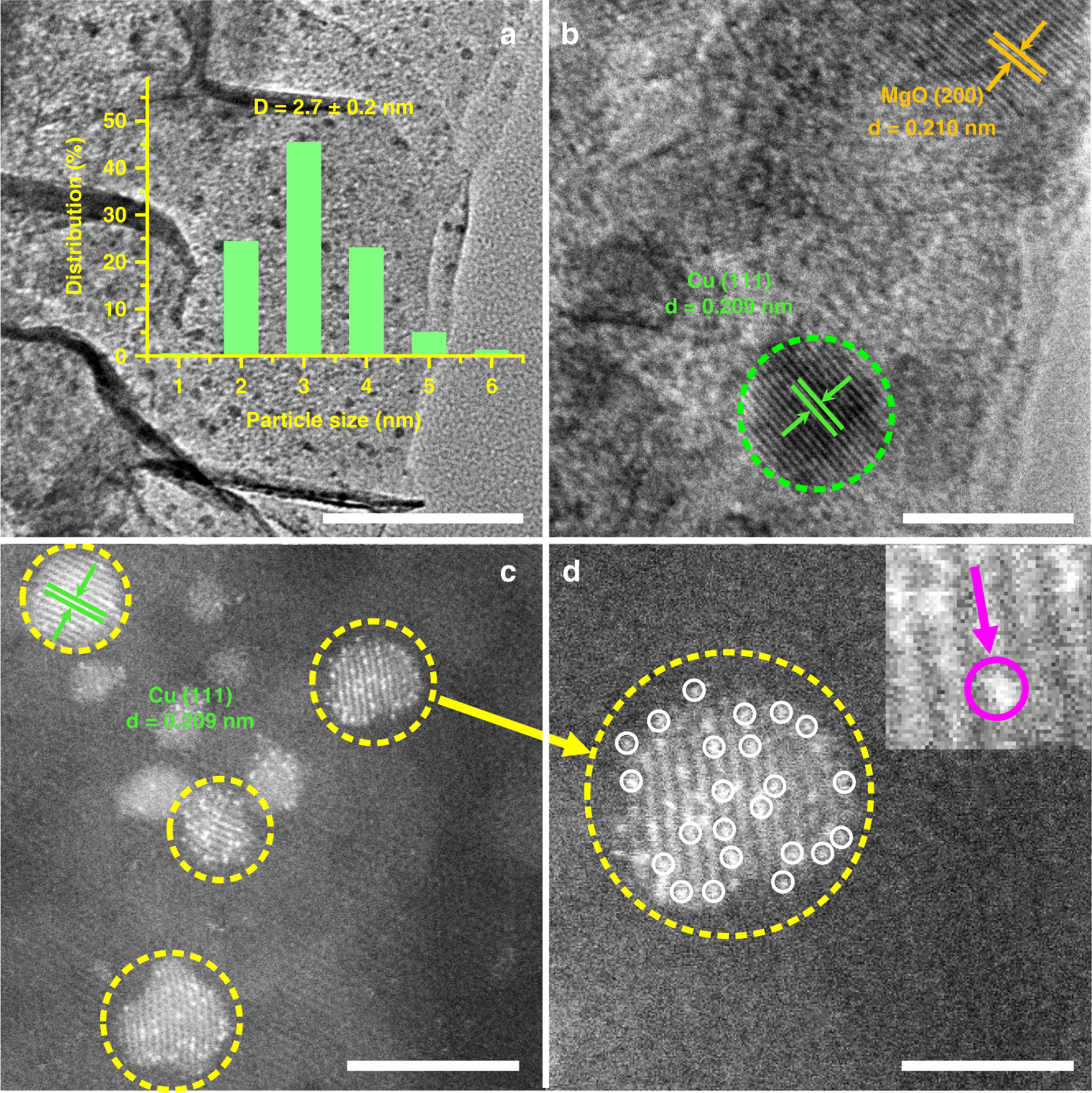 Fig. 2: Identification of PtCu single atom alloy.