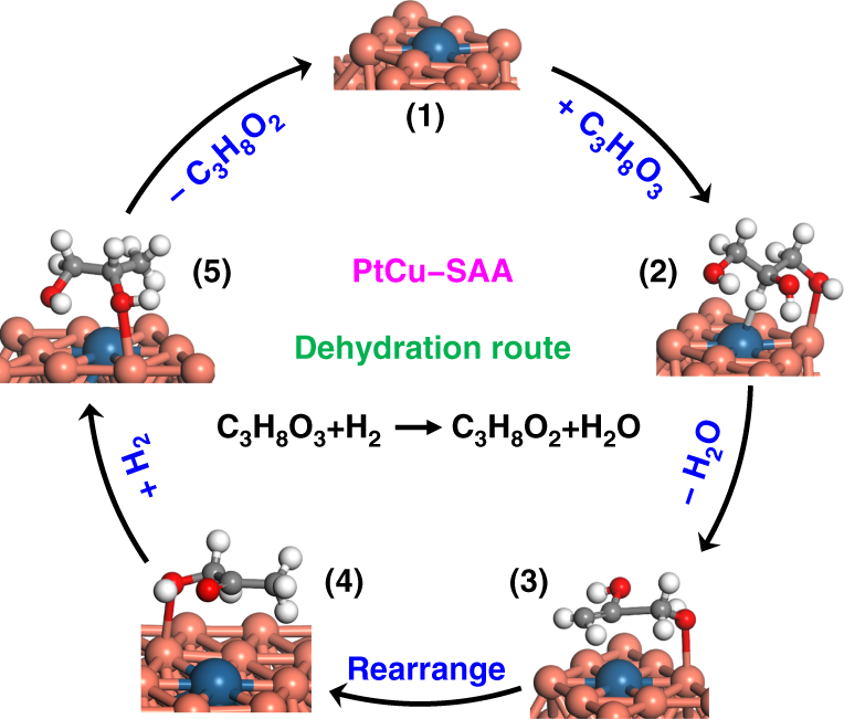Fig. 9: Schematic representation for the reaction mechanism.
