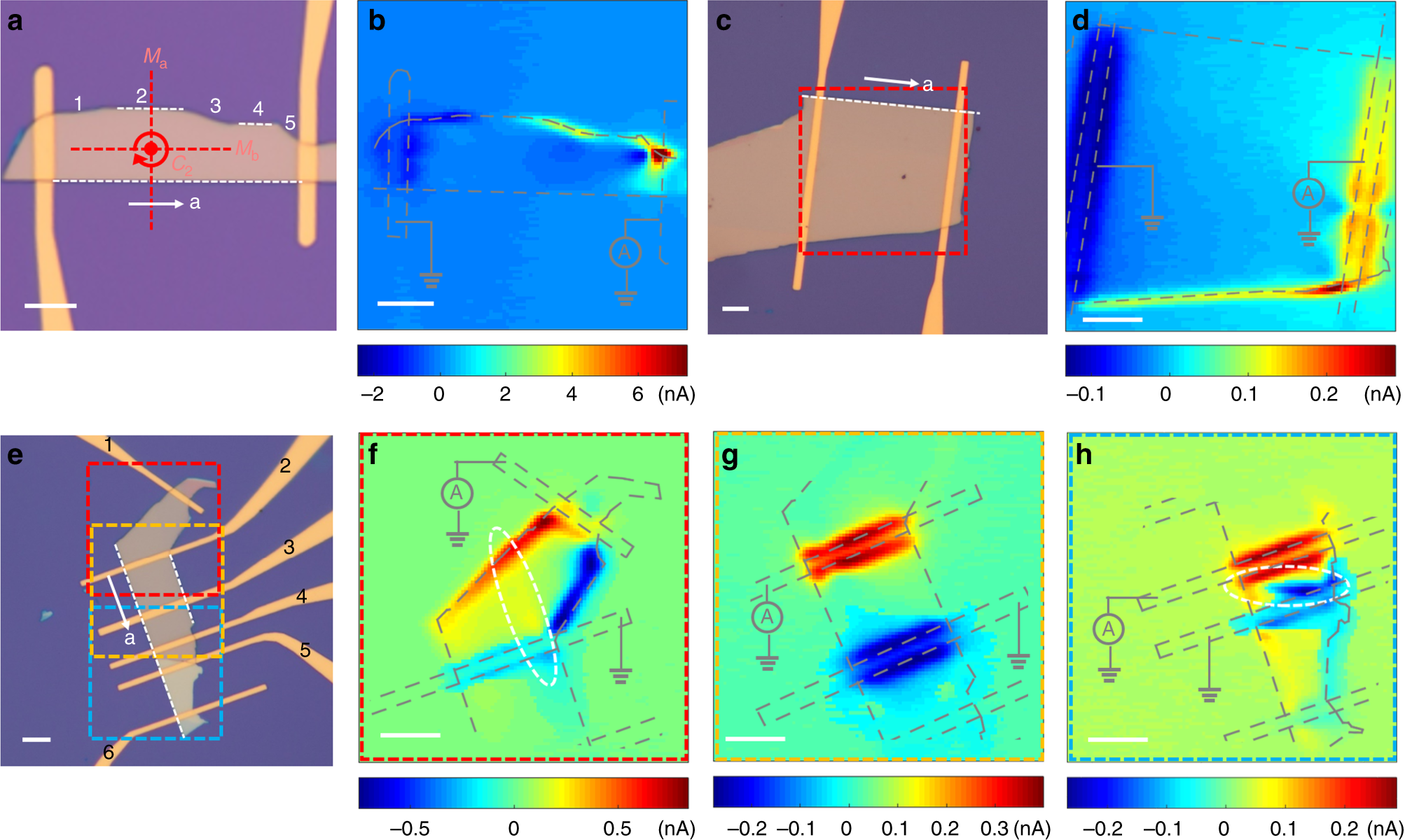 Fig. 2: Photocurrent response from edges along different directions.