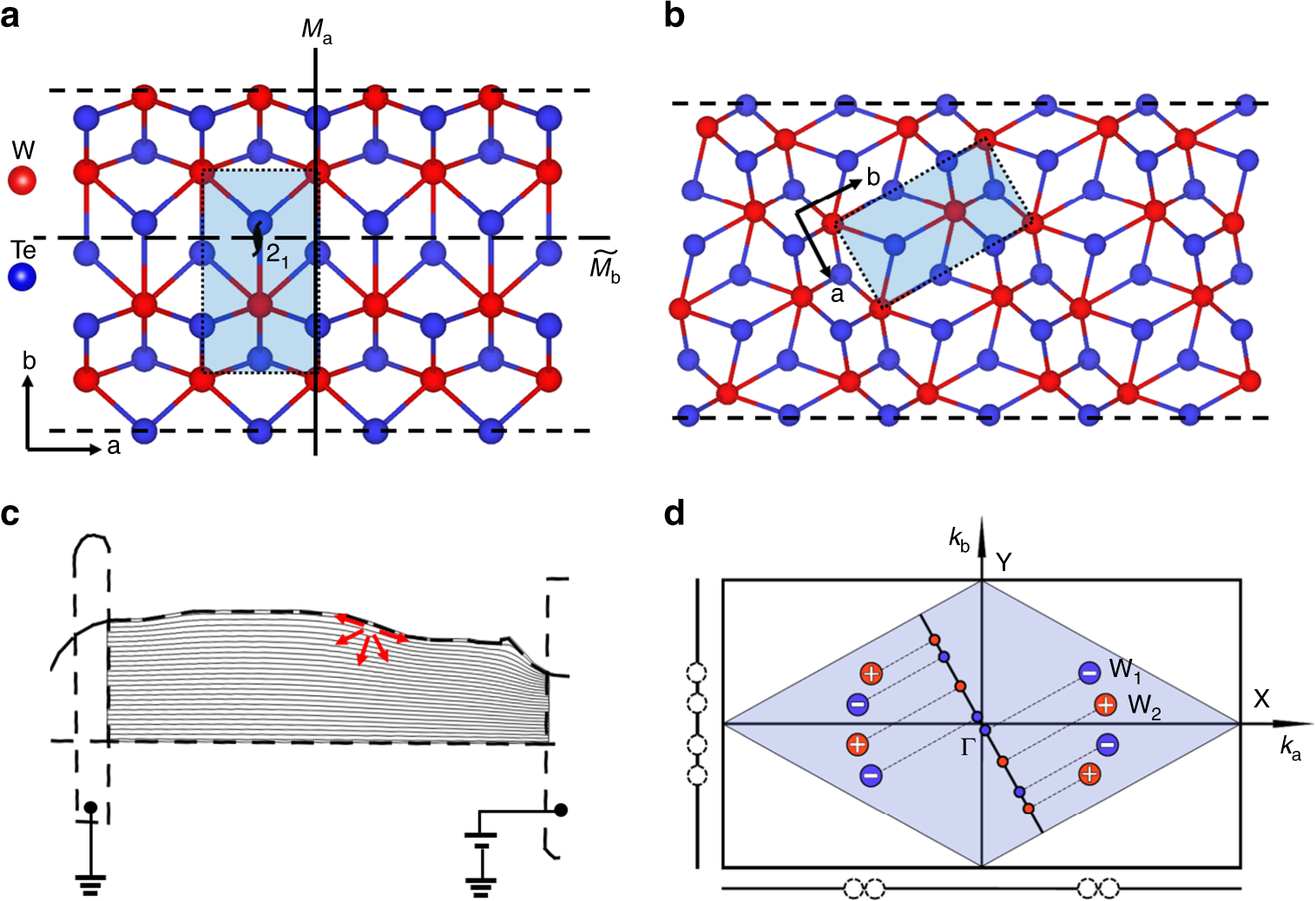 Fig. 3: Symmetry analysis of edges along different directions of WTe2.
