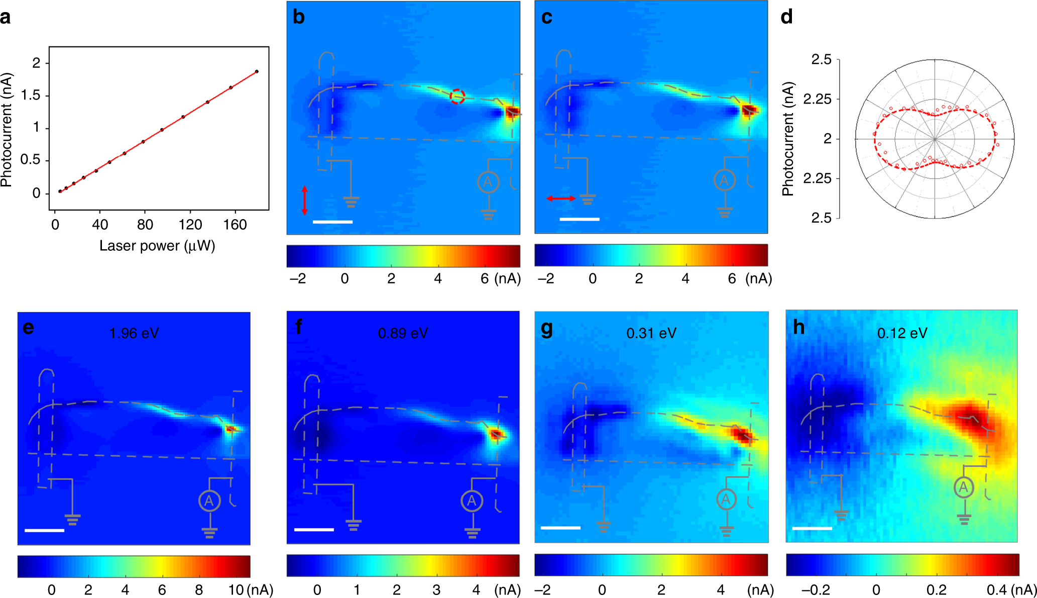 Fig. 4: Excitation power and polarization dependence of edge photocurrent.