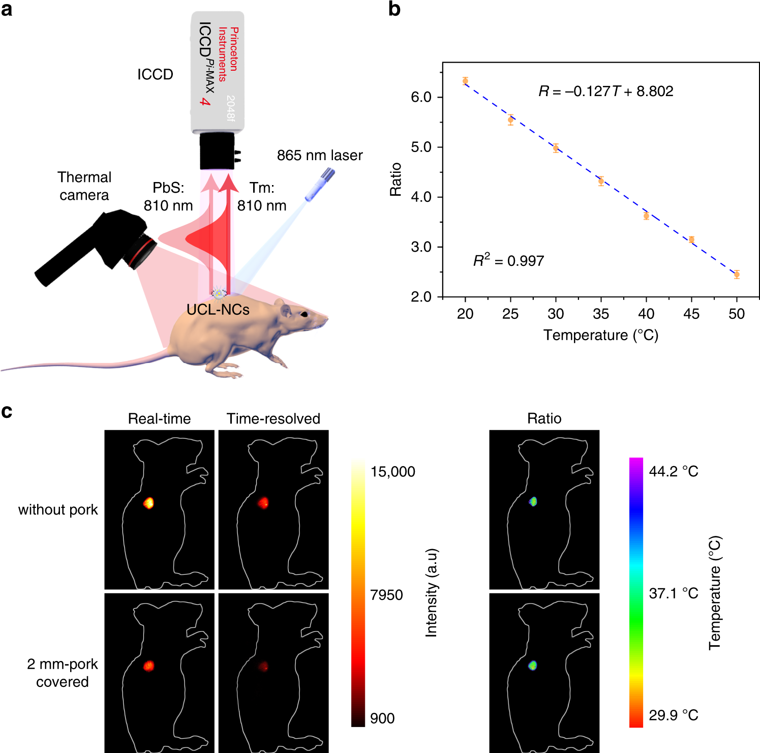 Fig. 5: Temperature monitoring in vivo using UCL-NCs.
