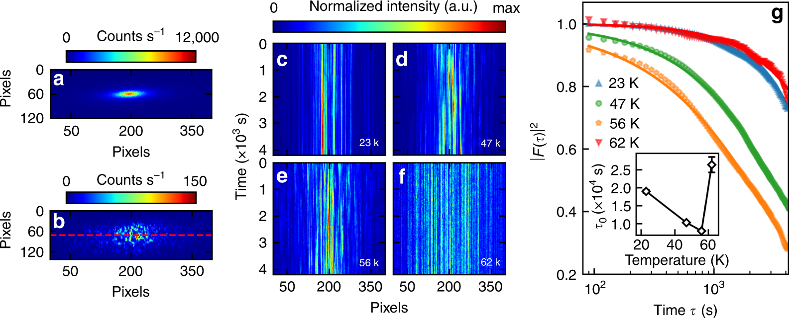 Fig. 3: Mesoscopic dynamics of charge domains.