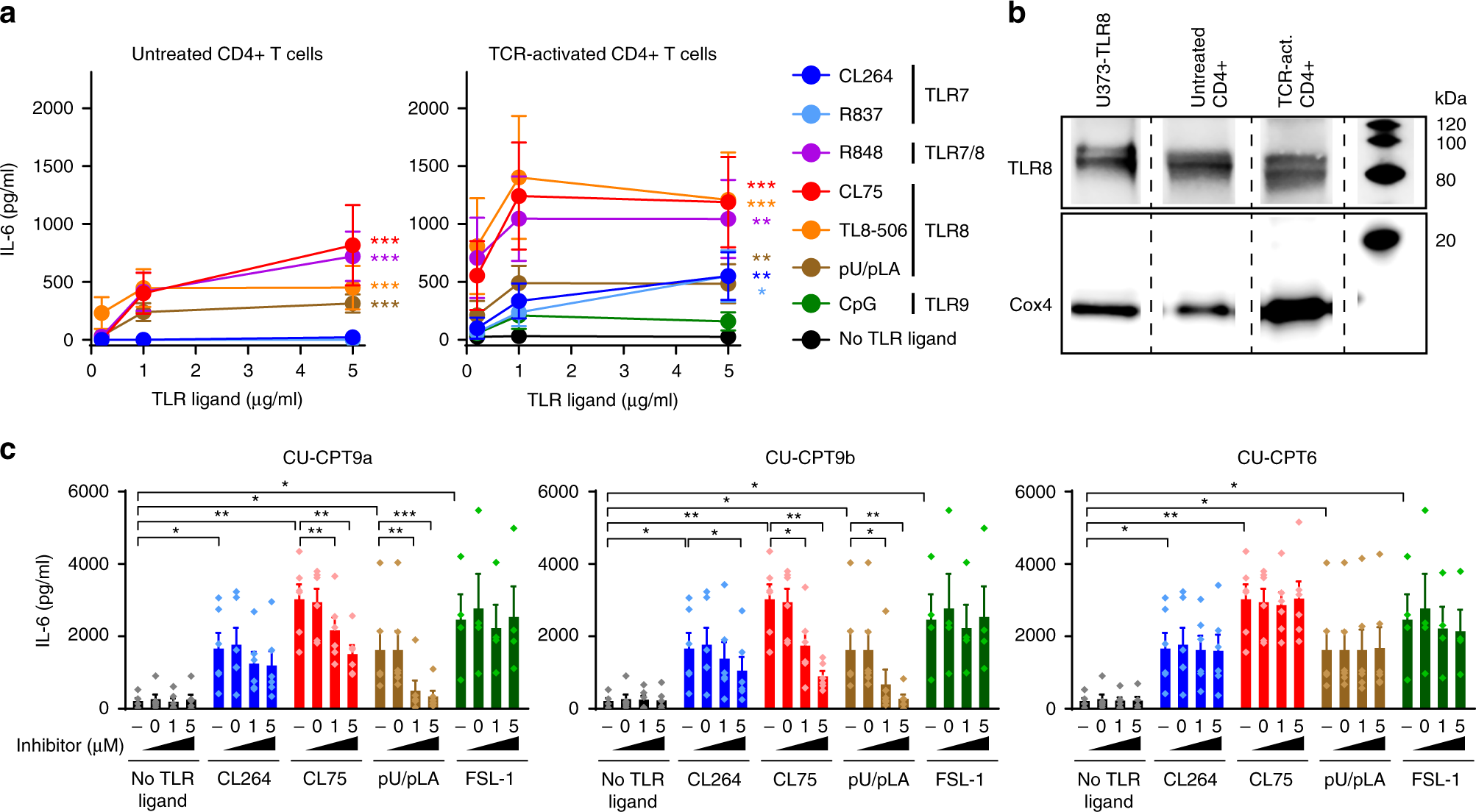 Fig. 2: TLR8 is expressed and induces secretion of IL-6 in human primary CD4+ T cells.