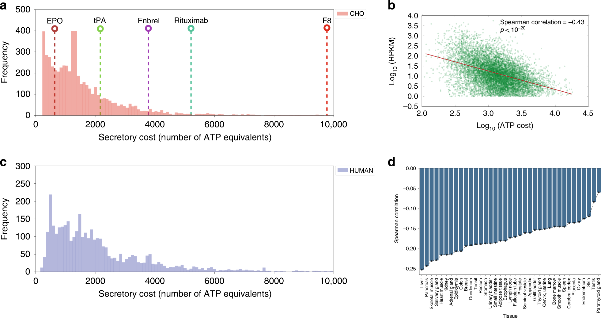 Genome Scale Reconstructions Of The Mammalian Secretory Pathway Predict Metabolic Costs And Limitations Of Protein Secretion Nature Communications Genome Scale Reconstructions Of The Mammalian Secretory Pathway Predict Metabolic Costs And Limitations Of Protein Secretion Nature Communications