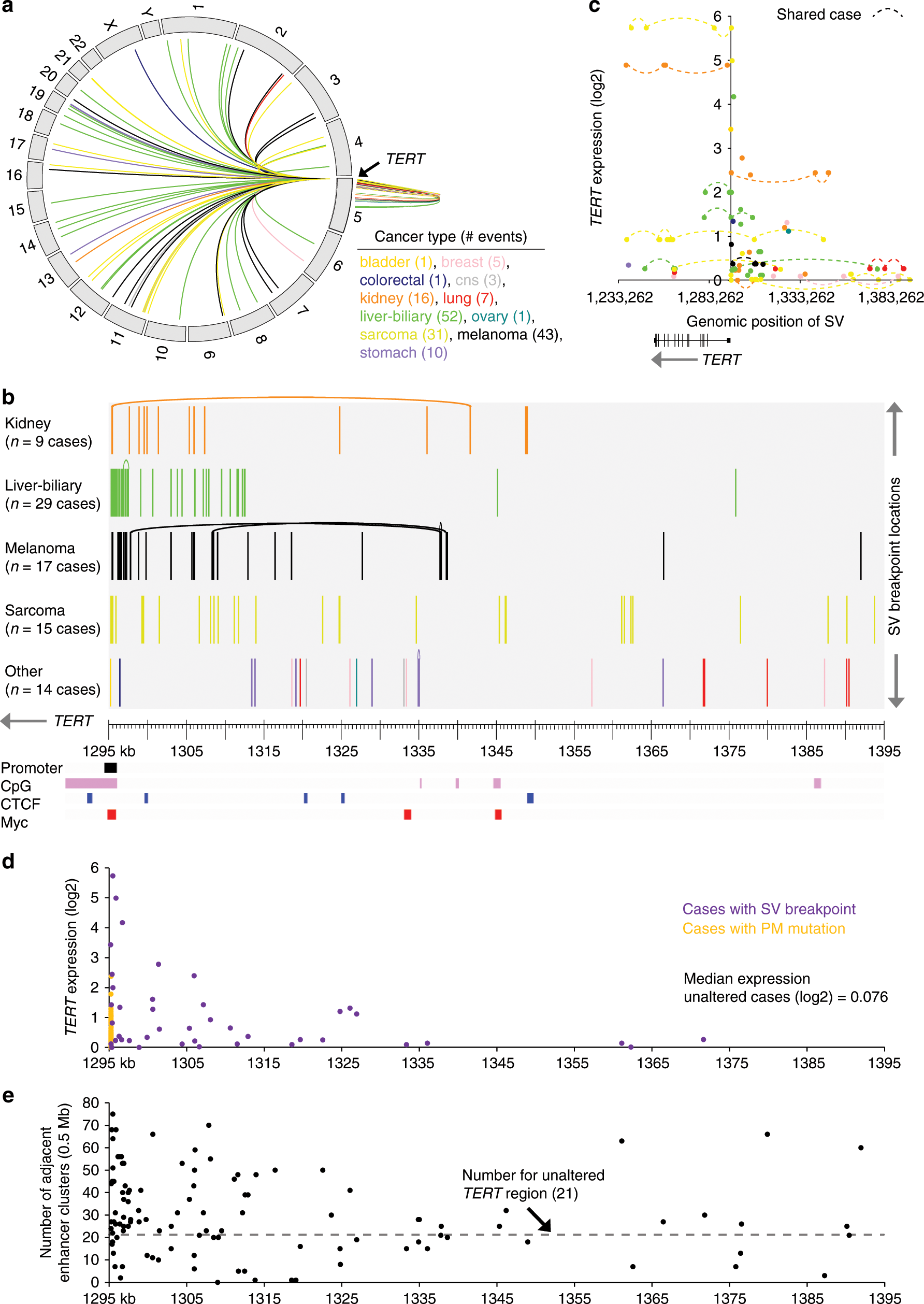 Fig. 2: SVs associated with TERT and its increased expression.