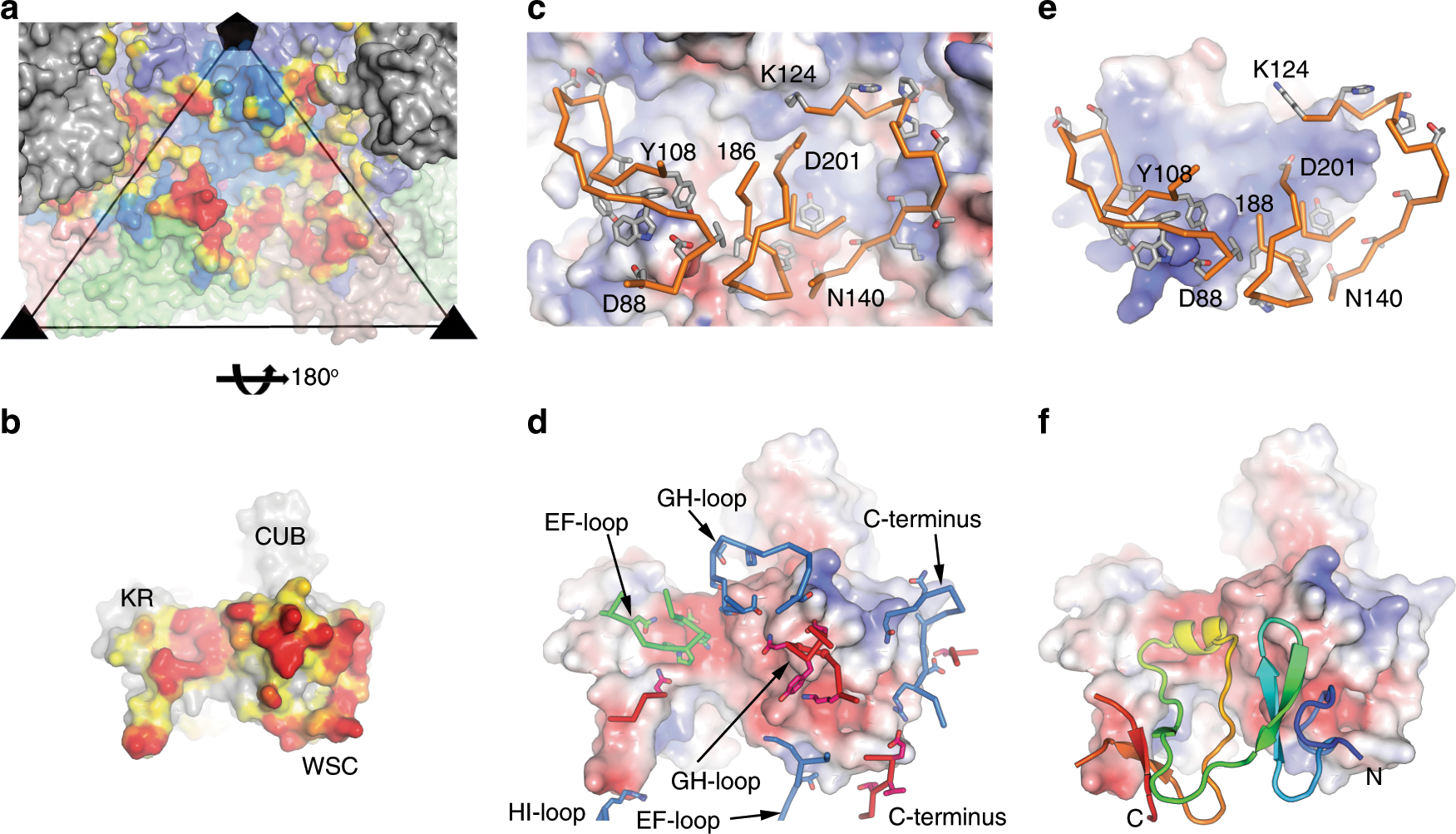 Fig. 3: The nature of the interactions between CV-A10 and KRM1 shown as open-book views.