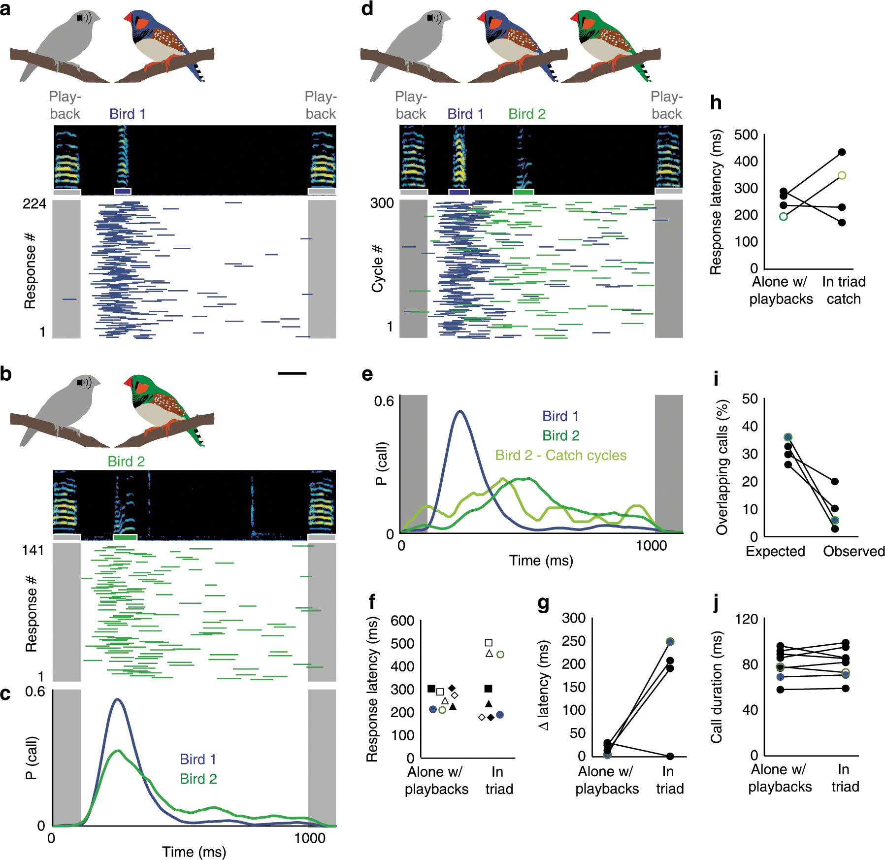Fig. 1: Call coordination in zebra finches.
