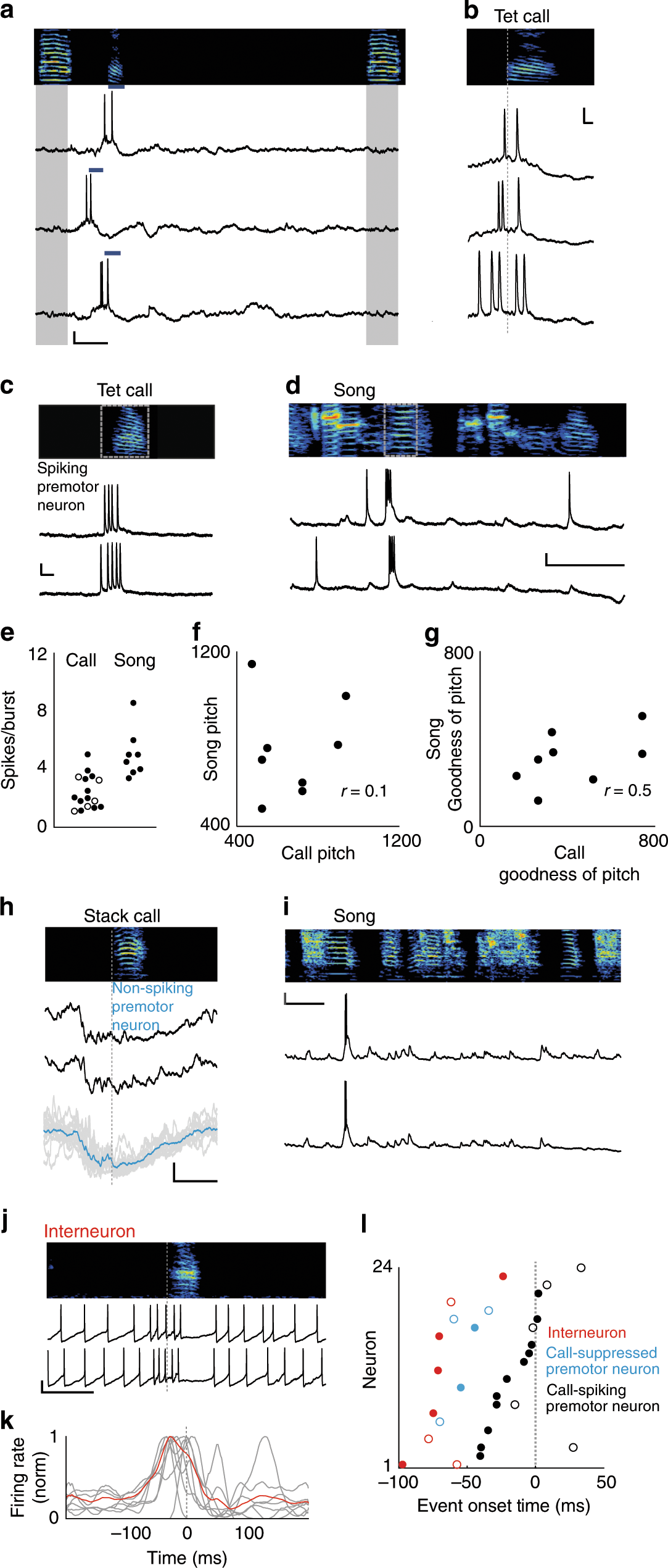 Fig. 3: Activity of HVC neurons preceding call production.