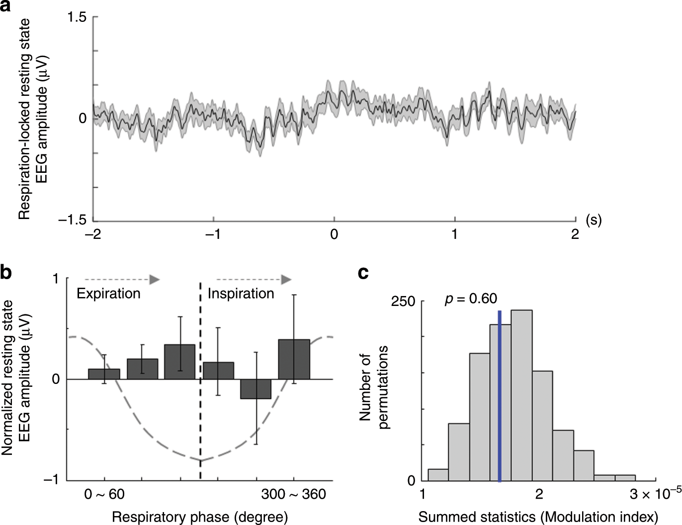Fig. 4: Respiratory phase and resting state EEG amplitude.