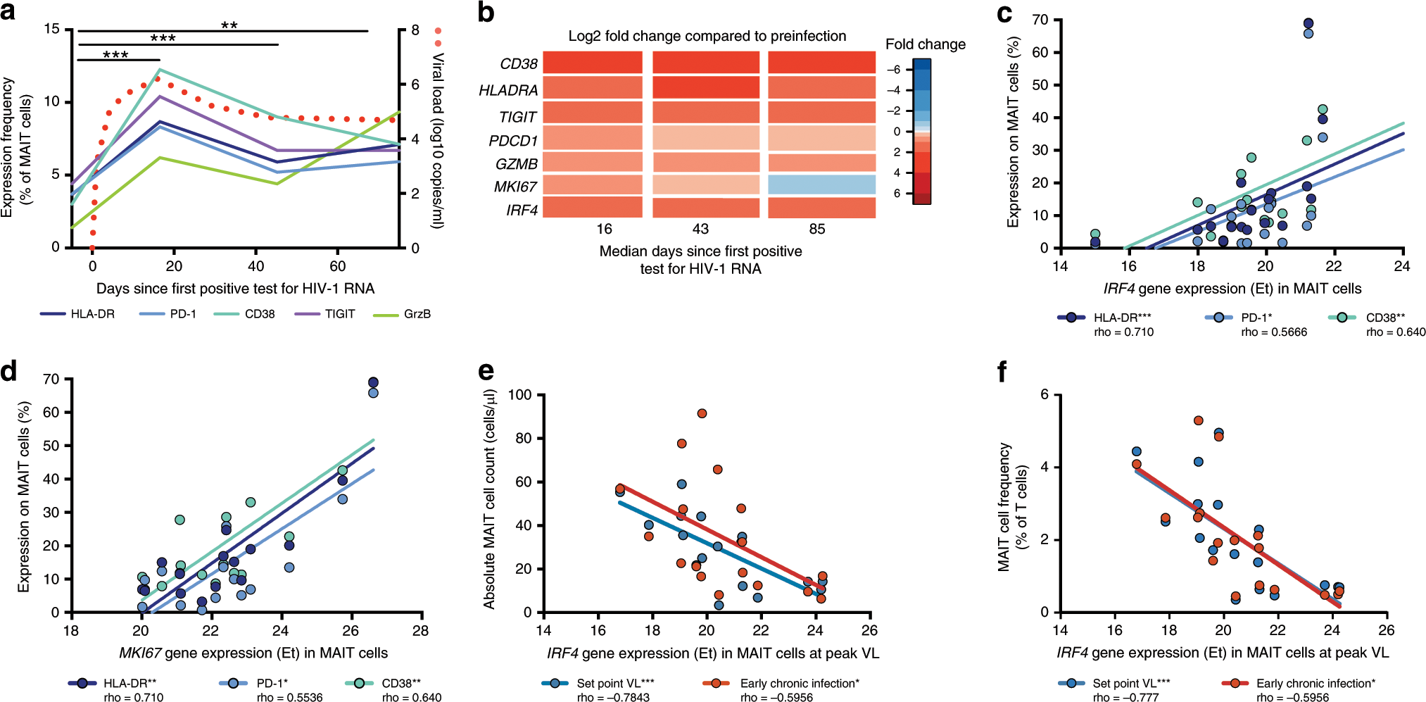 Fig. 2: MAIT cell activation in acute HIV-1 infection.
