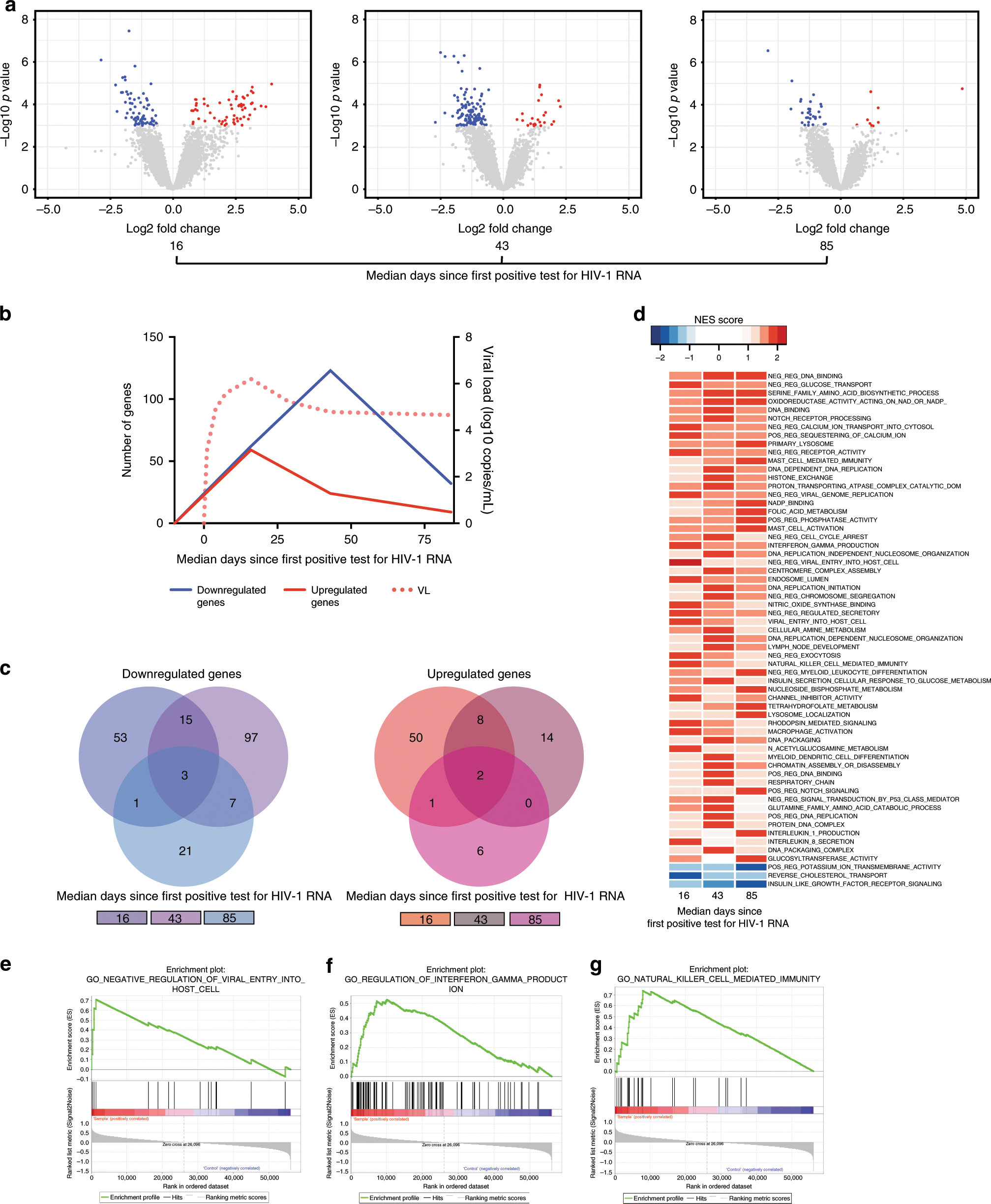 Fig. 3: The transcriptional signature of MAIT cells before and during acute HIV-1 infection.