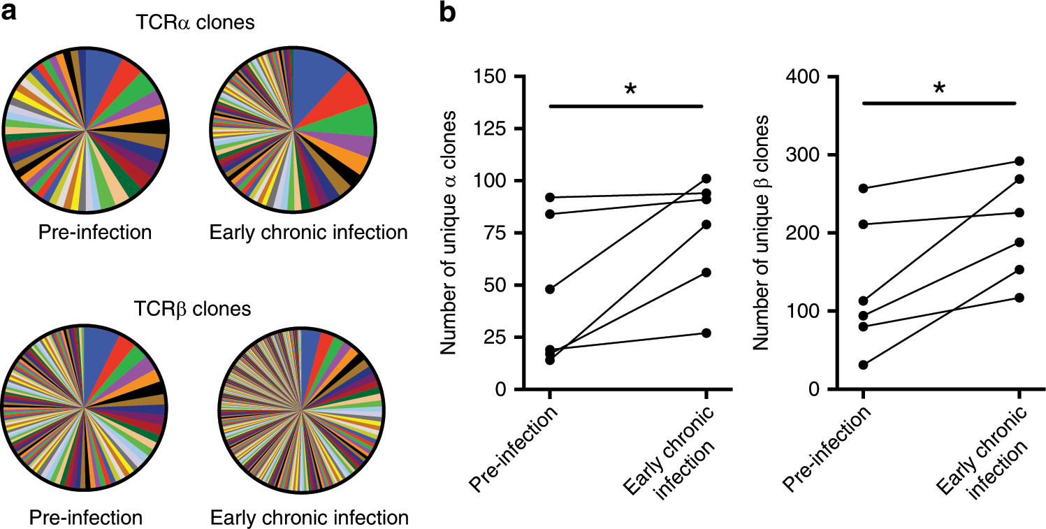 Fig. 4: TCR repertoire diversity of MAIT cells before and after acute HIV-1 infection.