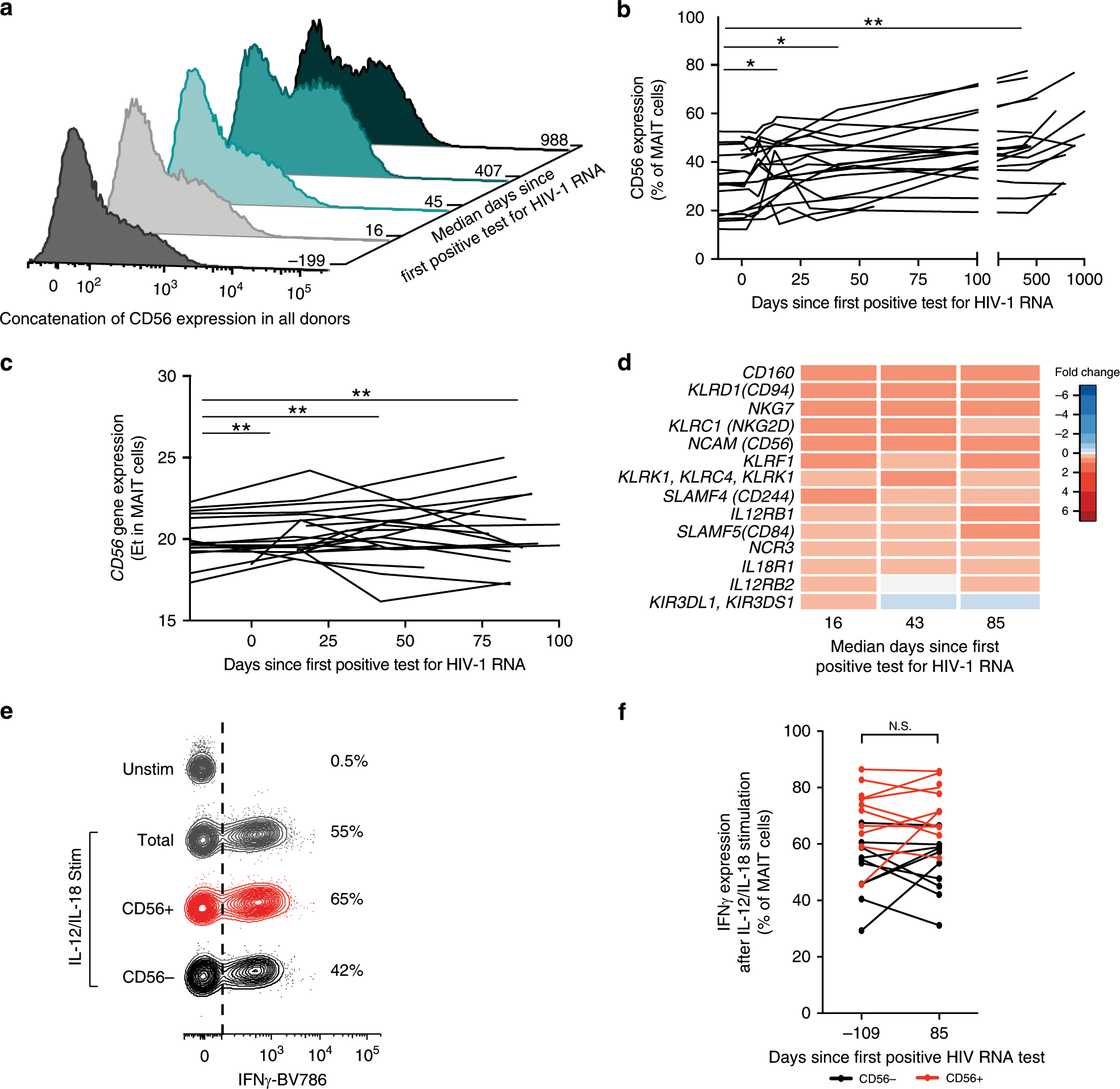 Fig. 5: MAIT cells display increased innate-like properties in acute HIV infection.