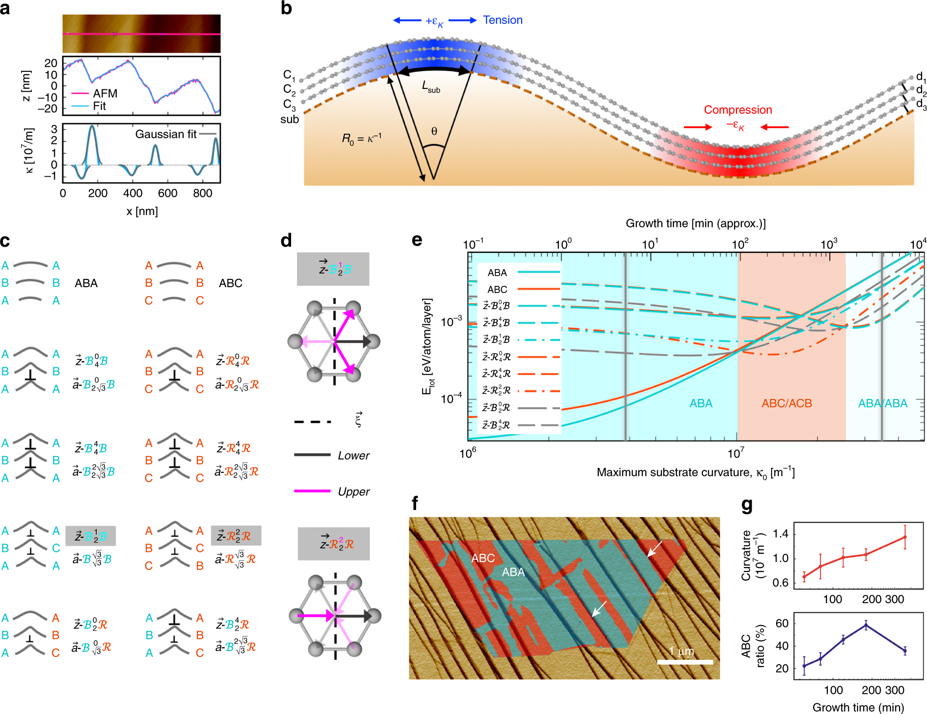 Fig. 3: Curvature-stabilized ABC-TLG.