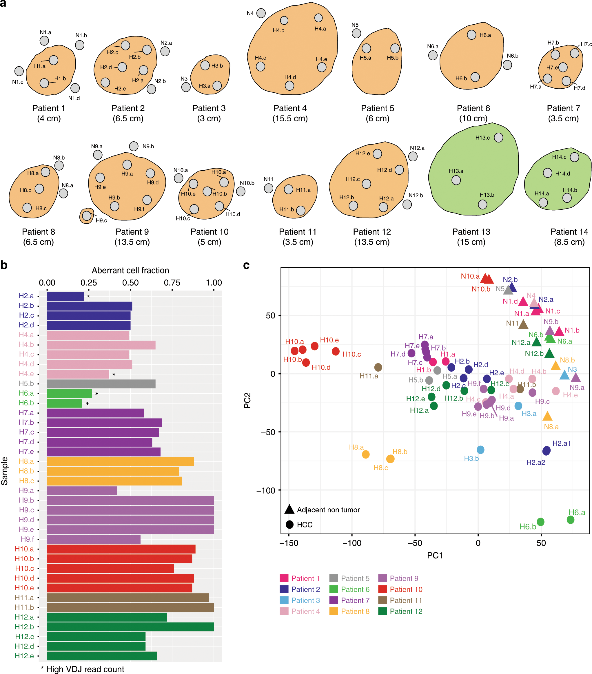 Fig. 1: Summary of sampling and tumor purity data.