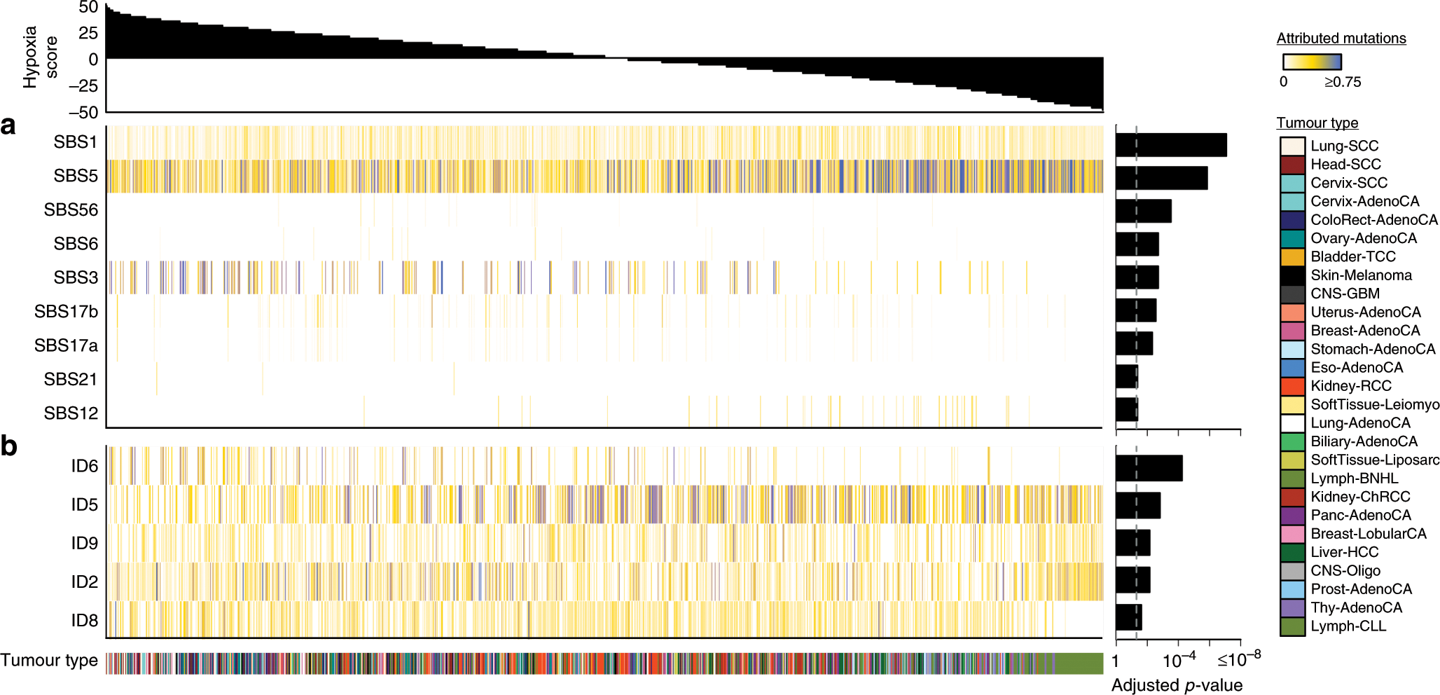 Fig. 3: Hypoxia-associated mutational signatures.
