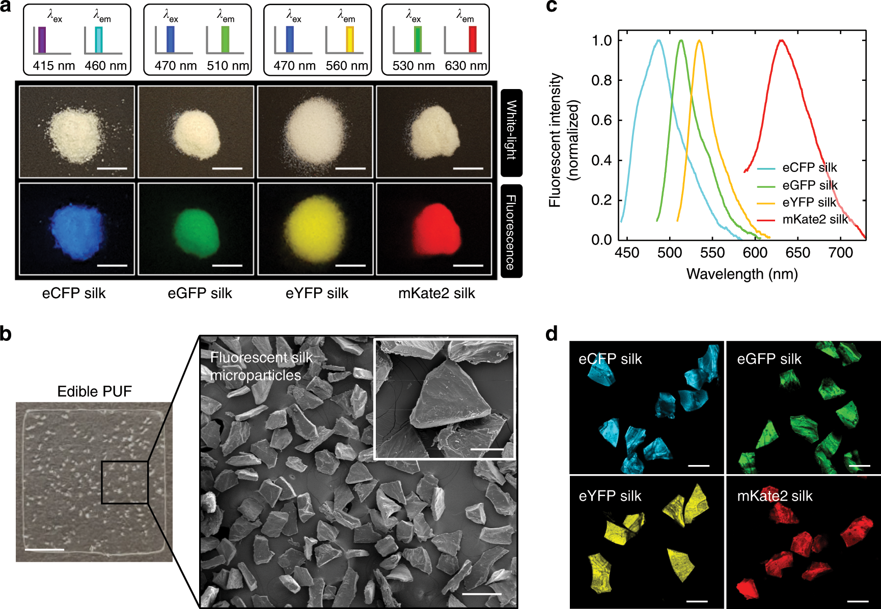 Fig. 2: All protein-based edible PUFs made of silk and fluorescent proteins.
