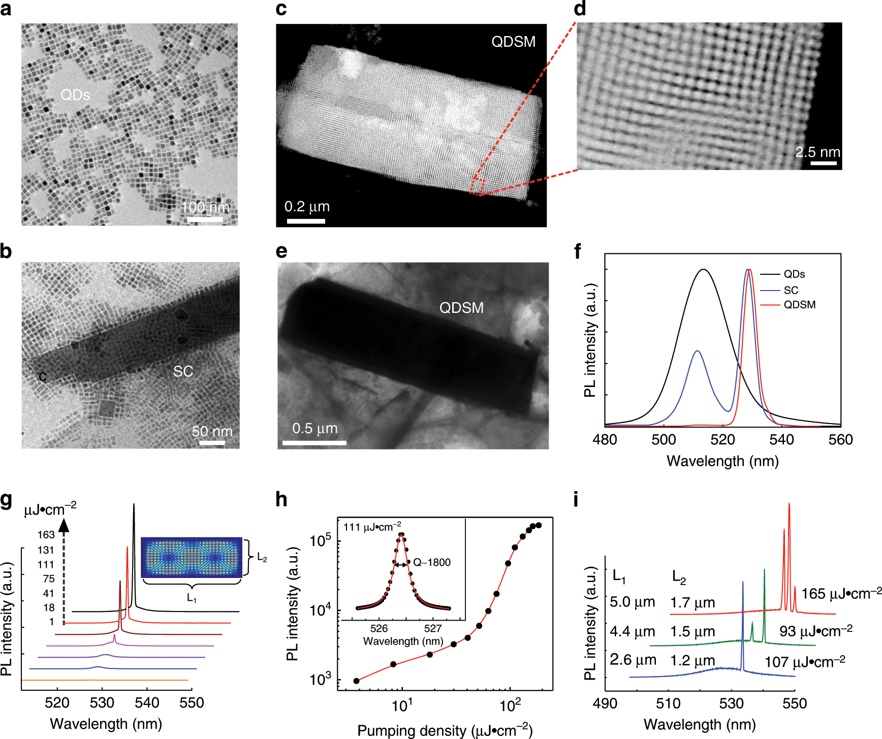 Fig. 2: Dynamic tracing and optical characterization of perovskite QDSMs.