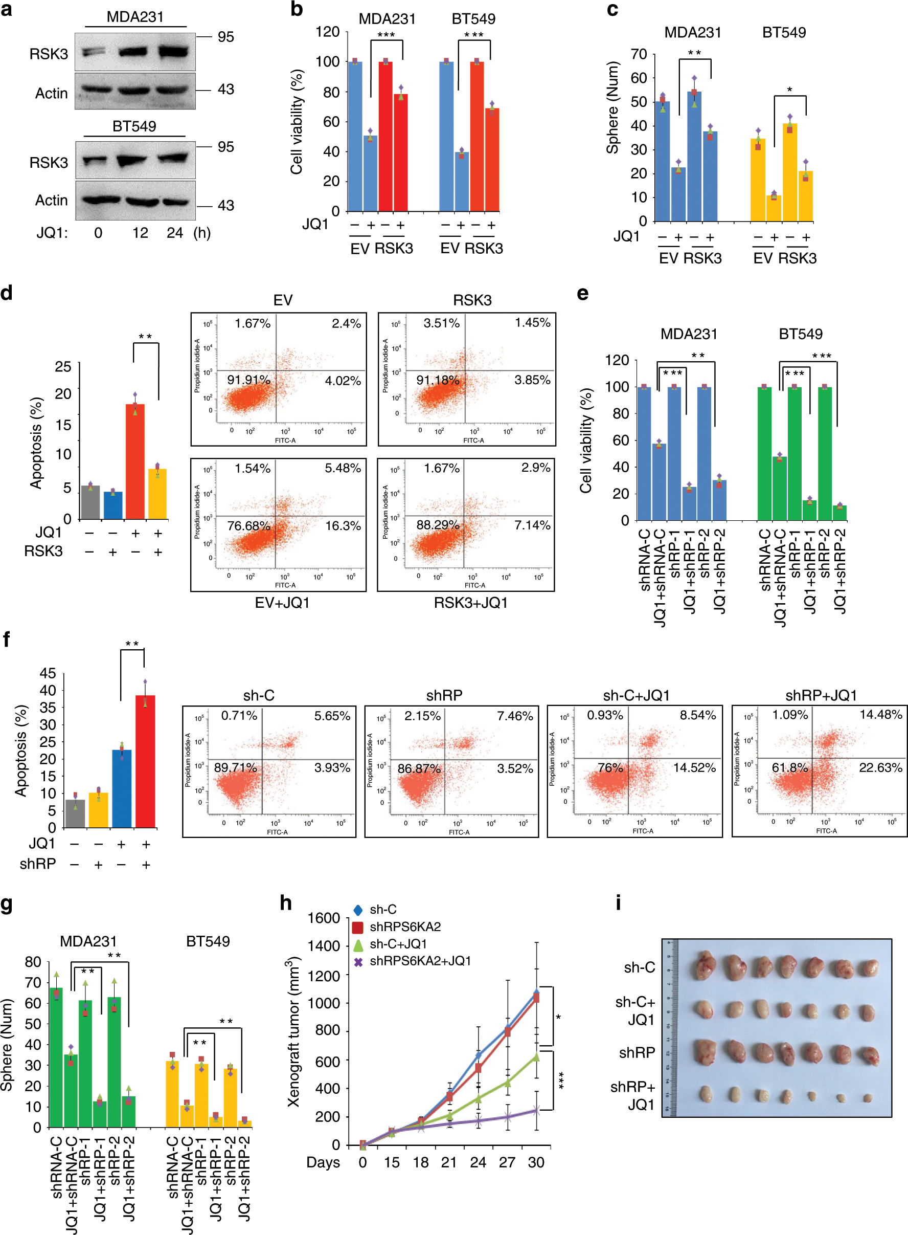 Fig. 1: Elevated RSK3 is responsible for BETi resistance.