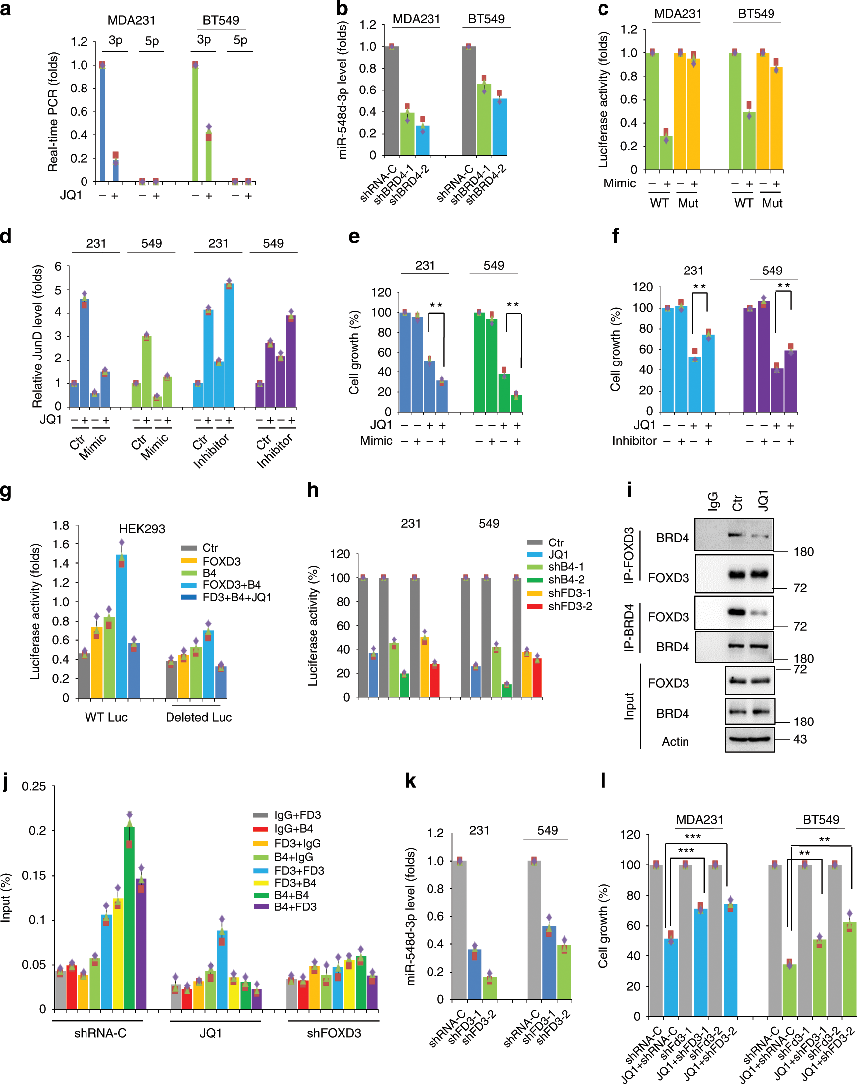 Fig. 4: JQ1 represses BRD4/FOXD3-maintained miR-548d-3p expression.