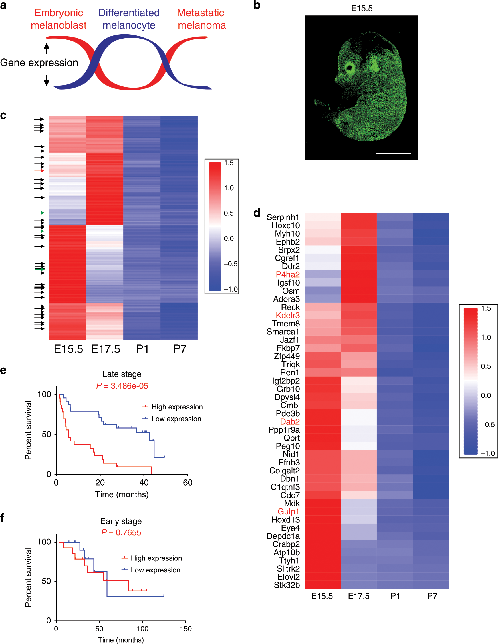 Fig. 1: Discovery of metastasis development (MetDev) genes.