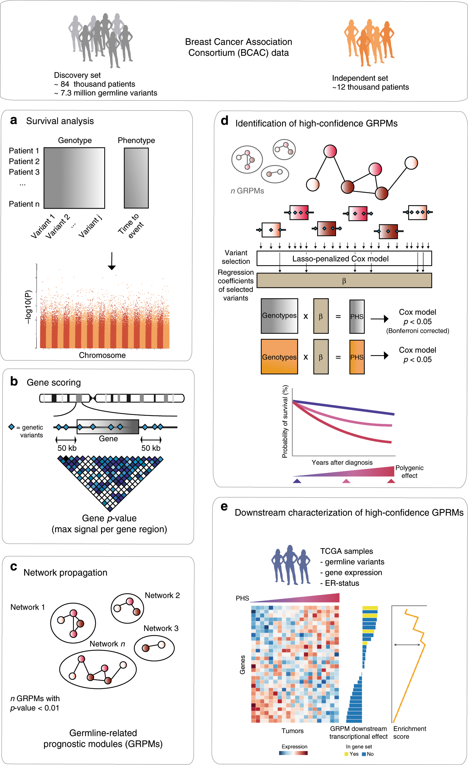 A network analysis to identify mediators of germline-driven differences in  breast cancer prognosis | Nature Communications