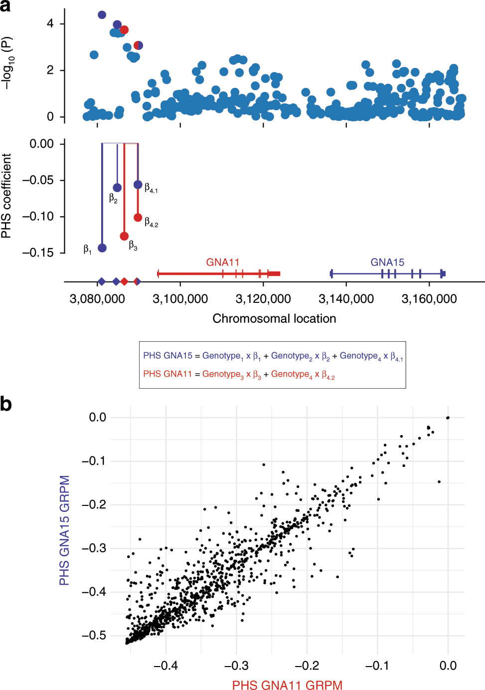 Fig. 4: Genomic region 19p13.3 with the two genes GNA11 and GNA15.