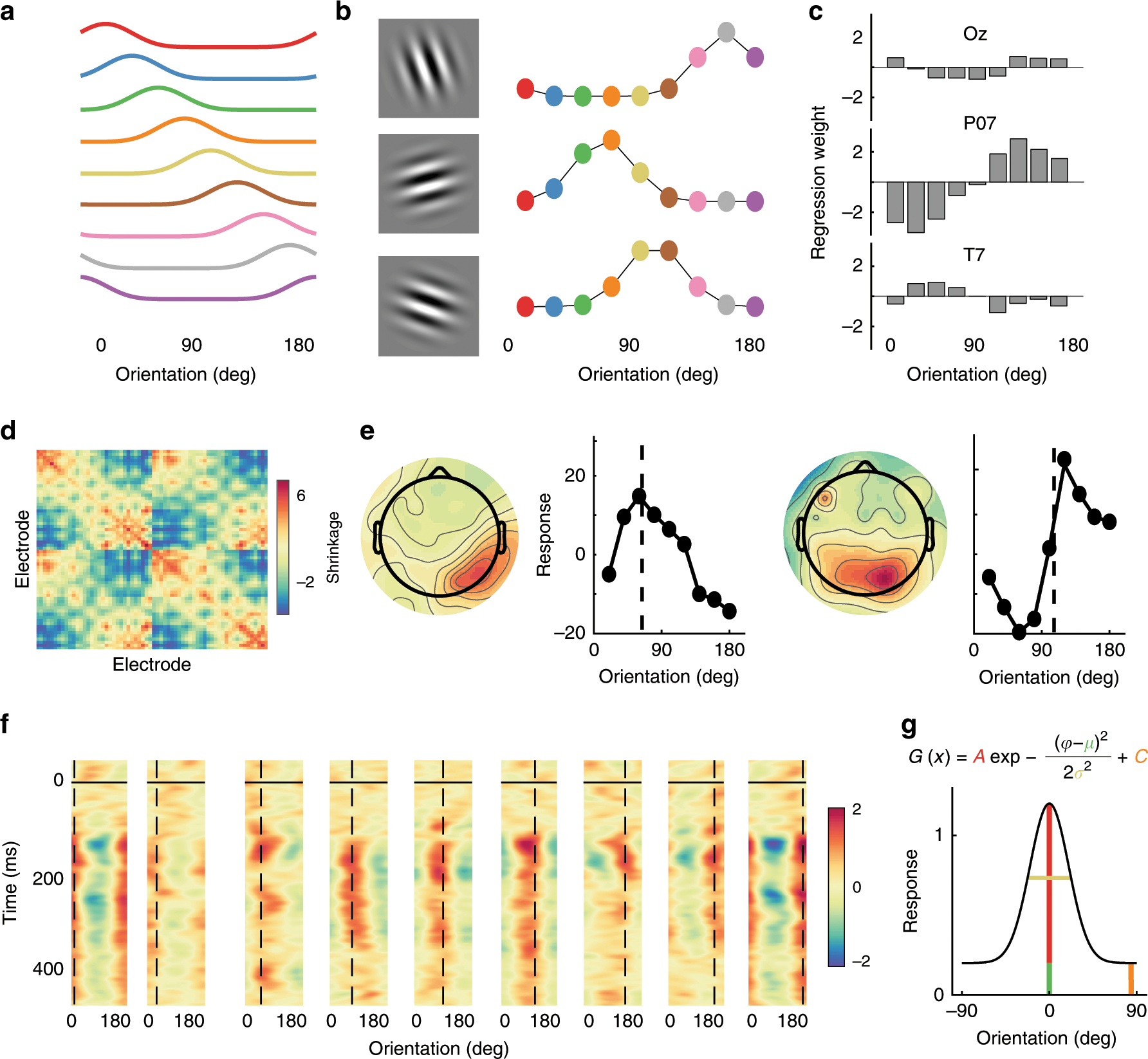 Fig. 9: Schematic illustrating the forward encoding procedure used to estimate feature-selectivity for orientation in Experiment 2.