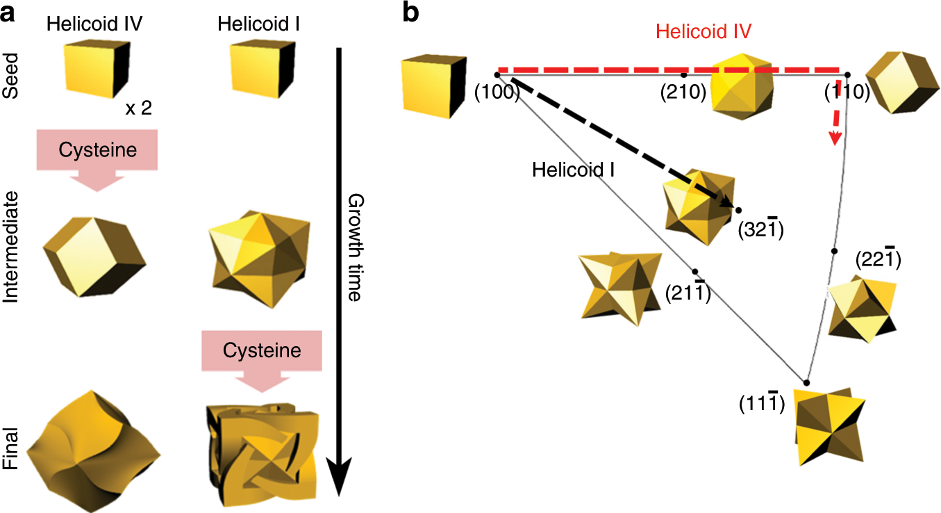 Fig. 3: Growth pathway of 432 helicoid I and IV nanoparticles.