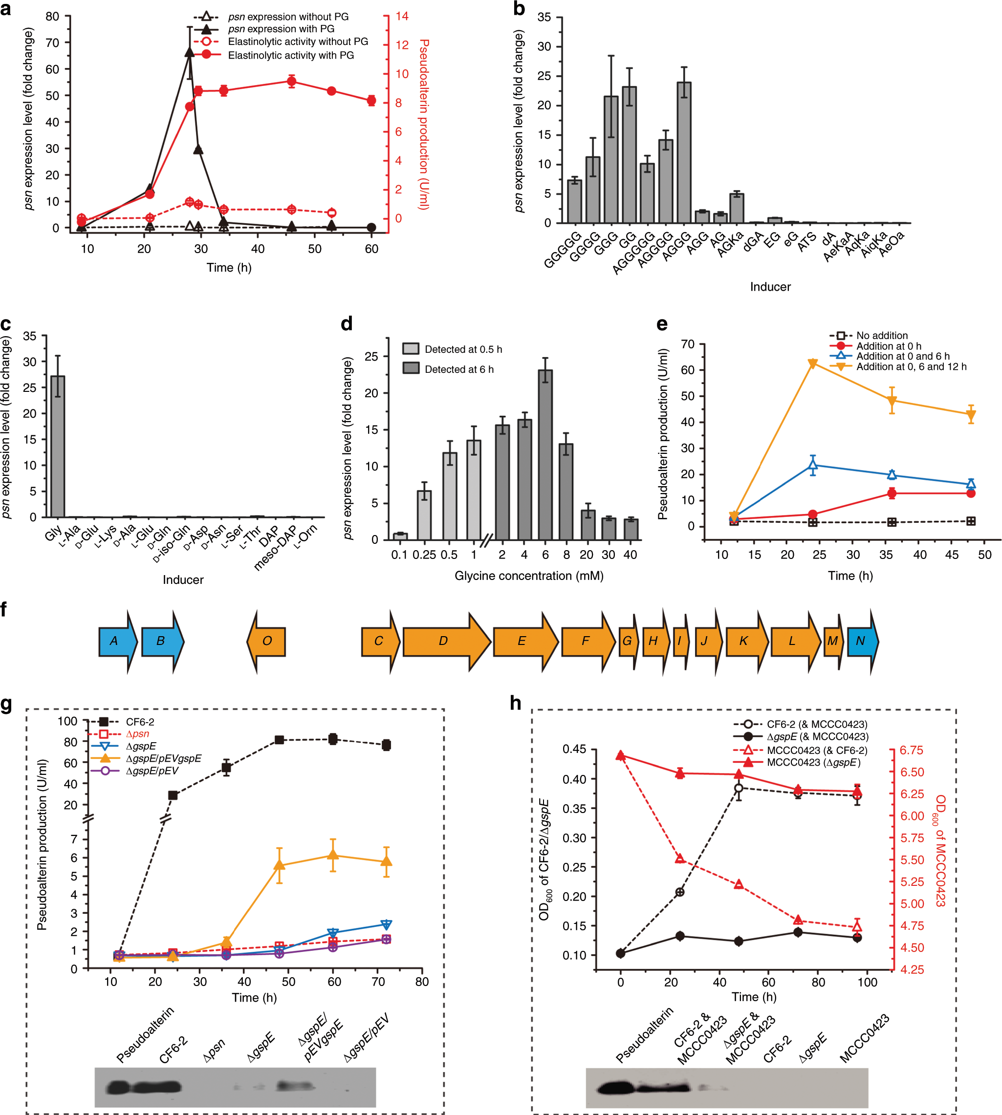 Fig. 4: Induction and secretion of pseudoalterin in strain CF6-2.