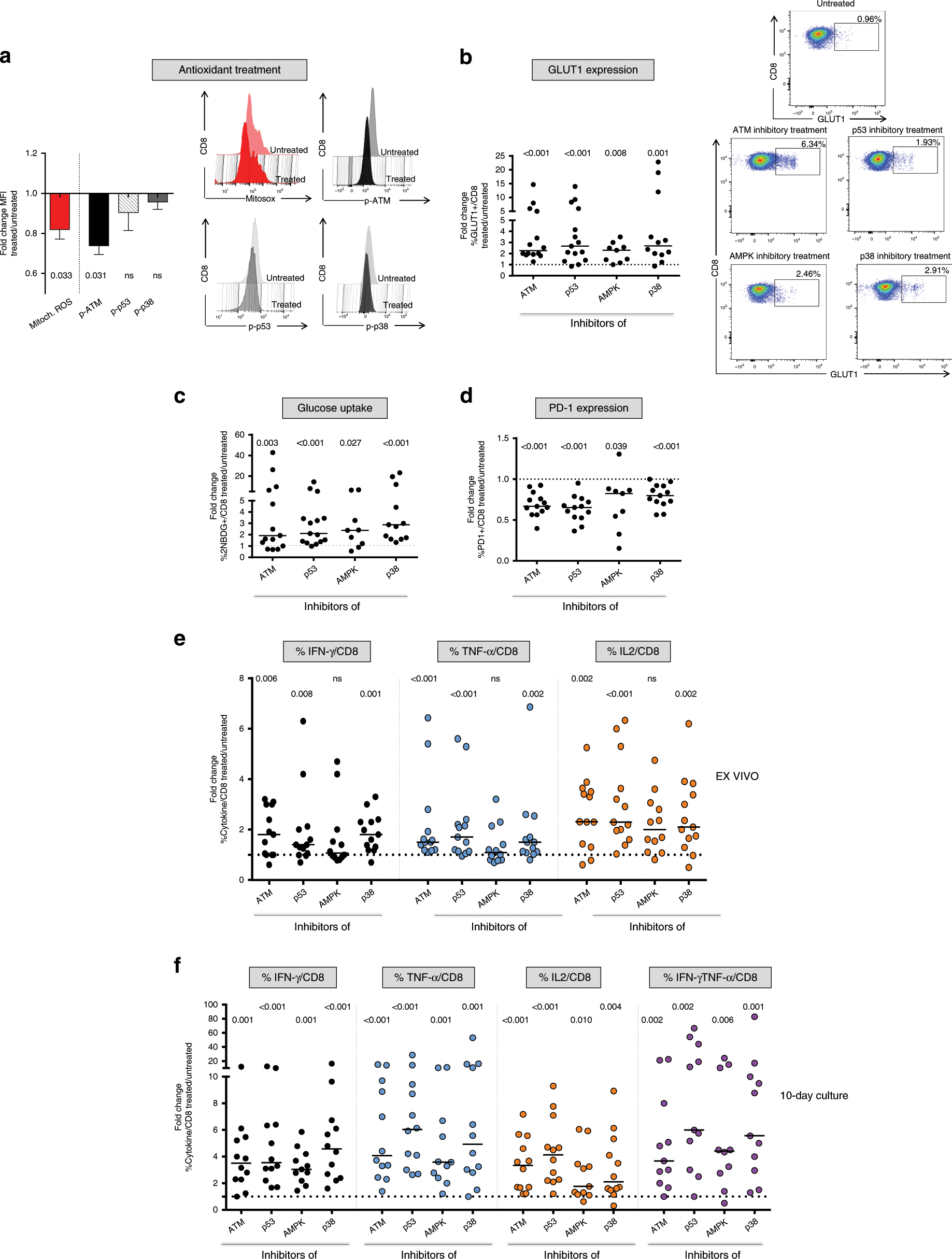 Fig. 5: Blocking dysregulated intracellular signaling pathways can reverse early metabolic and functional CD8+ T cell defects.