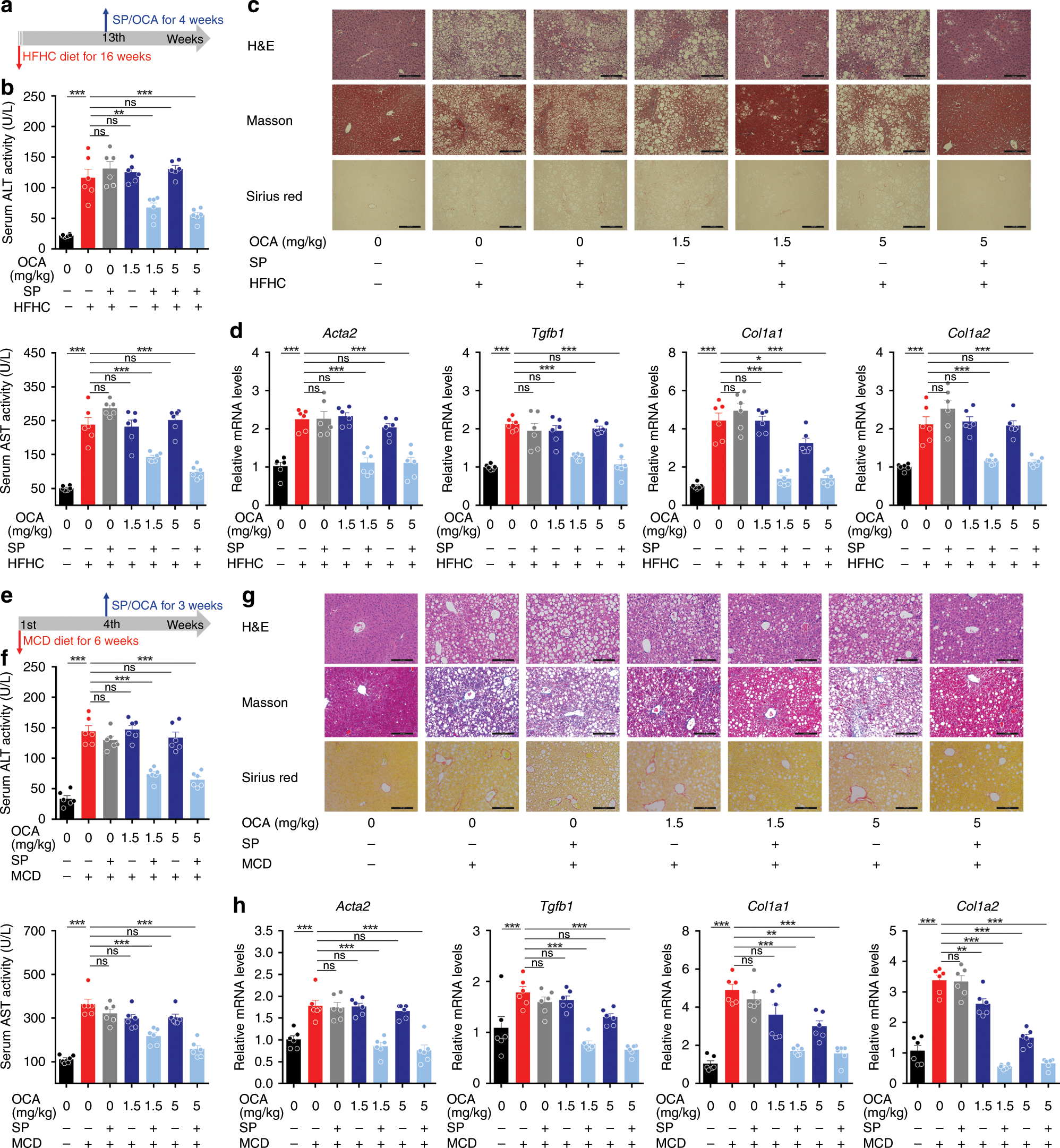 Fig. 7: SUMOylation inhibition restores the anti-fibrotic activity of OCA in NASH models.