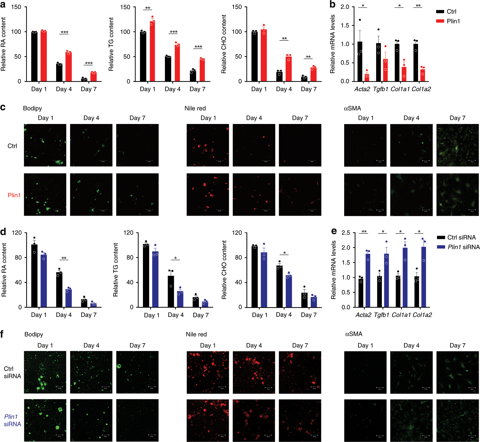 Fig. 8: LD stabilization by Plin1 prevents HSC activation.