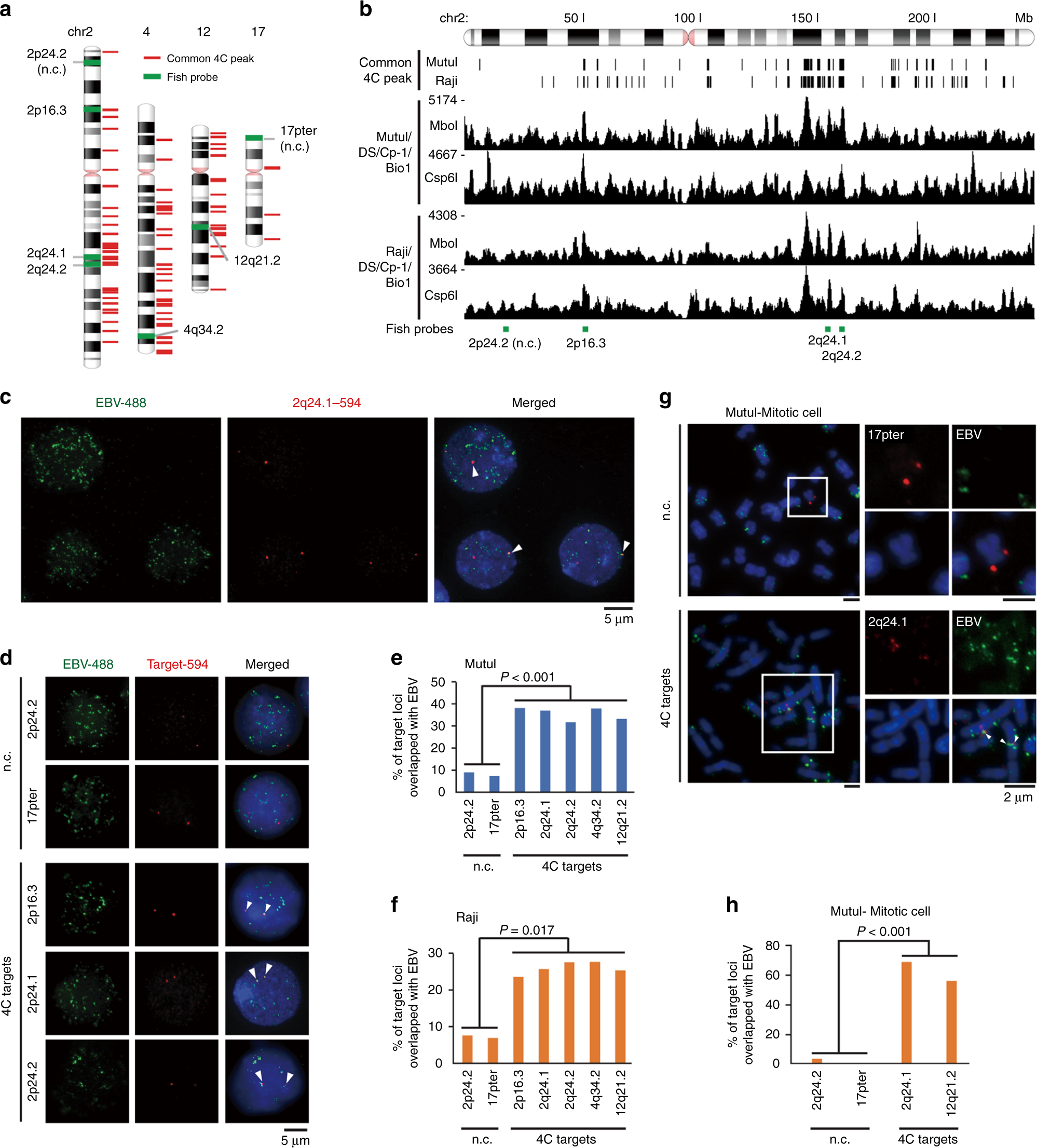 Fig. 2: Validation of 4C interaction sites by FISH.